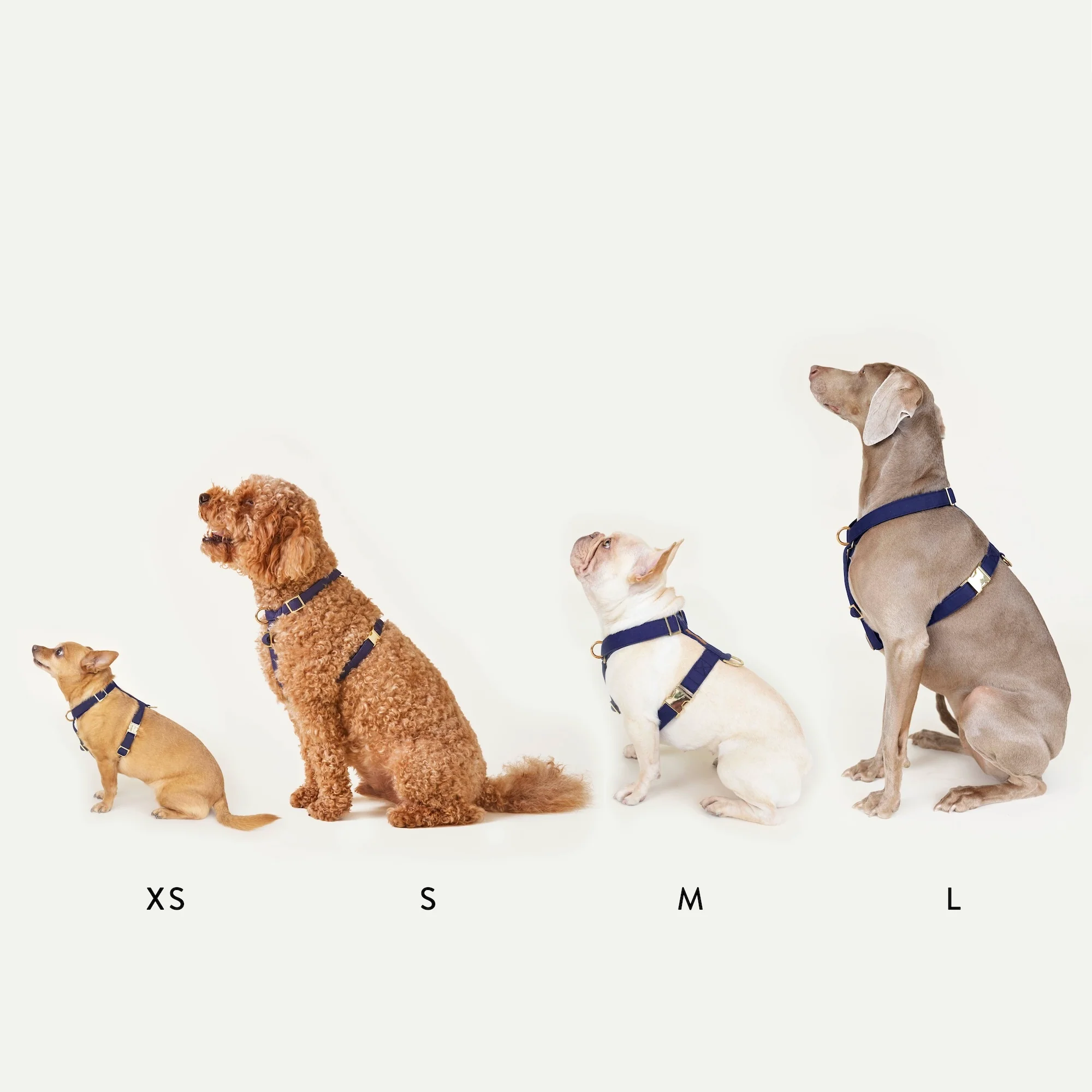 Onyx Dog Harness - Image 9