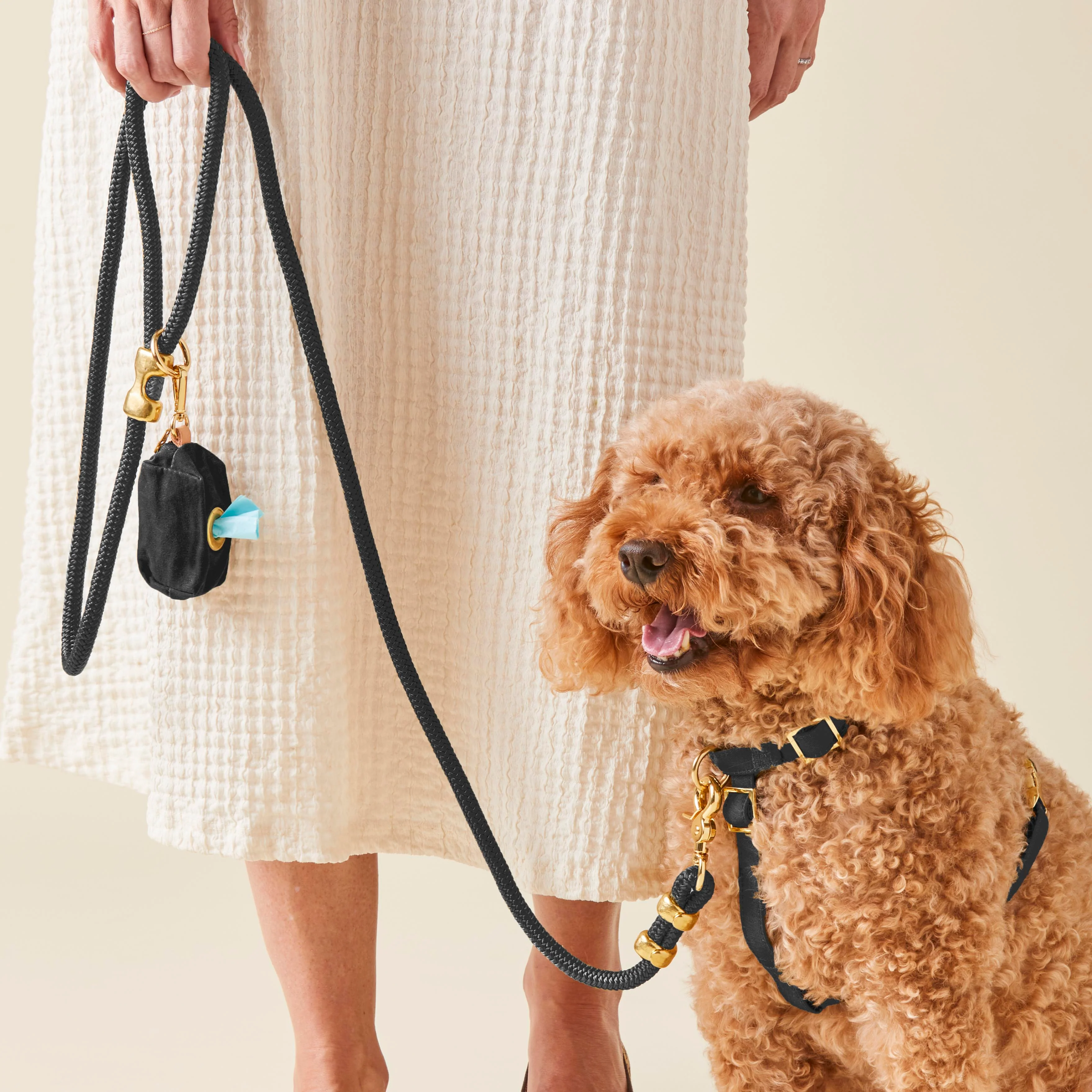 Onyx Harness Walk Set - Image 4