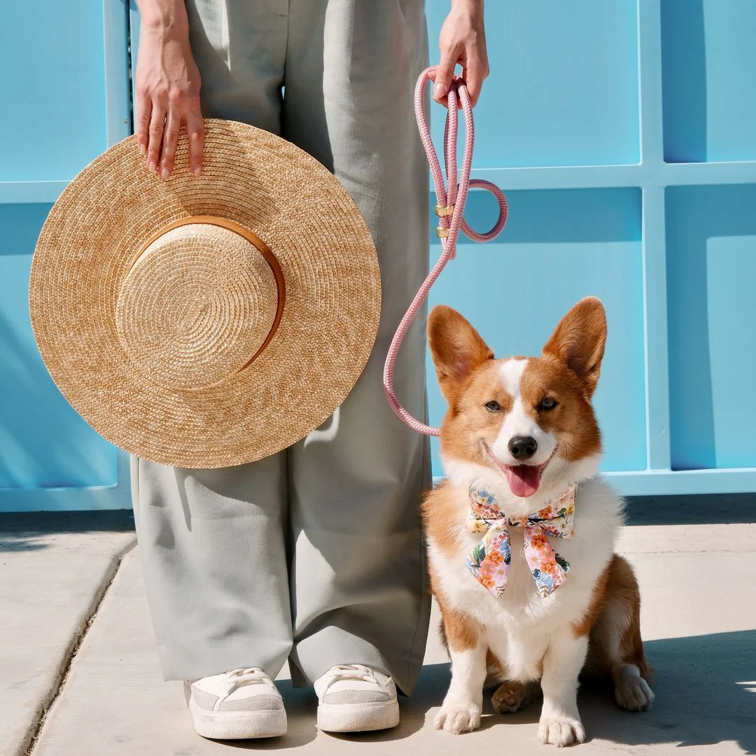 Orchid Marine Rope Dog Leash - Image 5