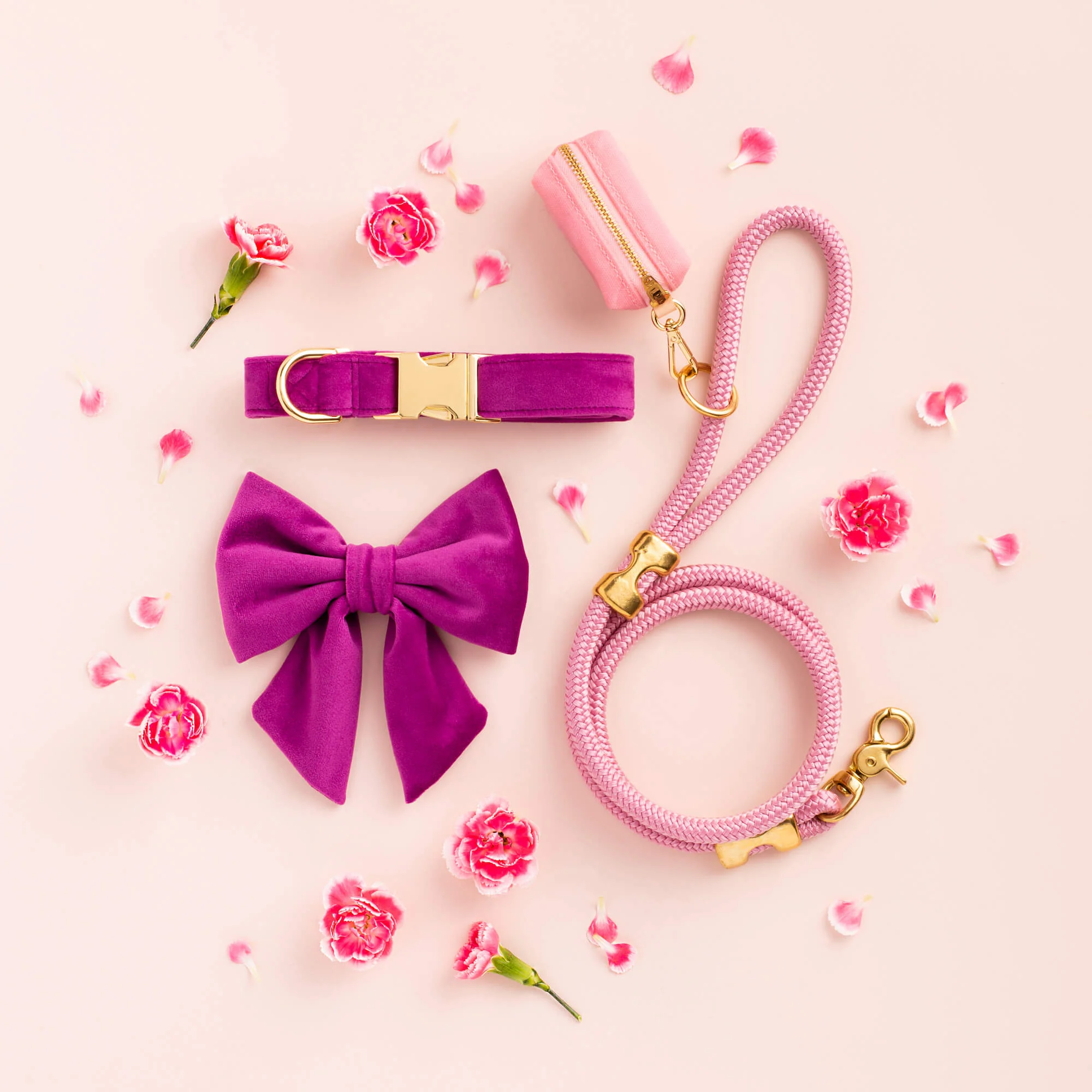Orchid Marine Rope Dog Leash - Image 8