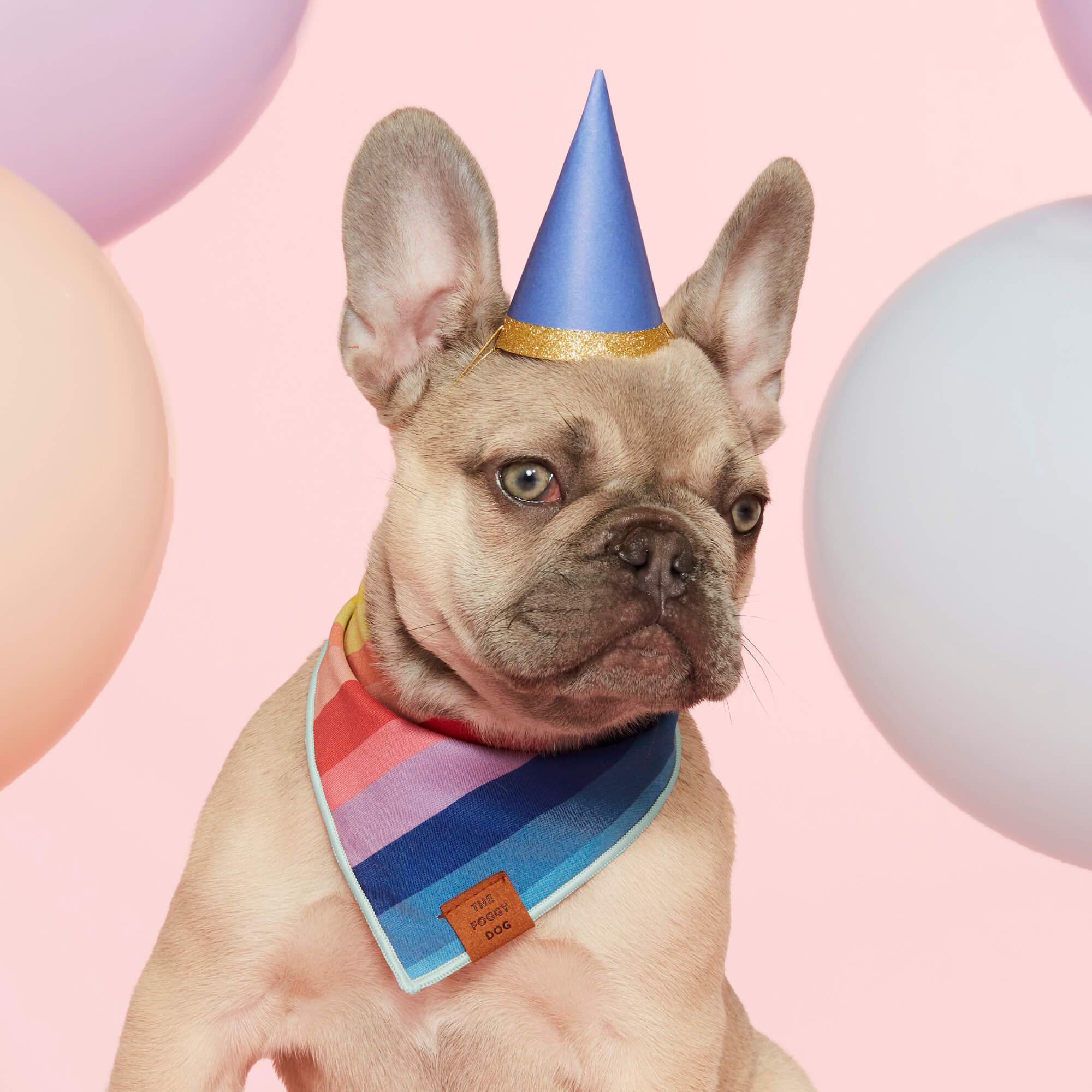 Over the Rainbow Dog Bandana - Image 6