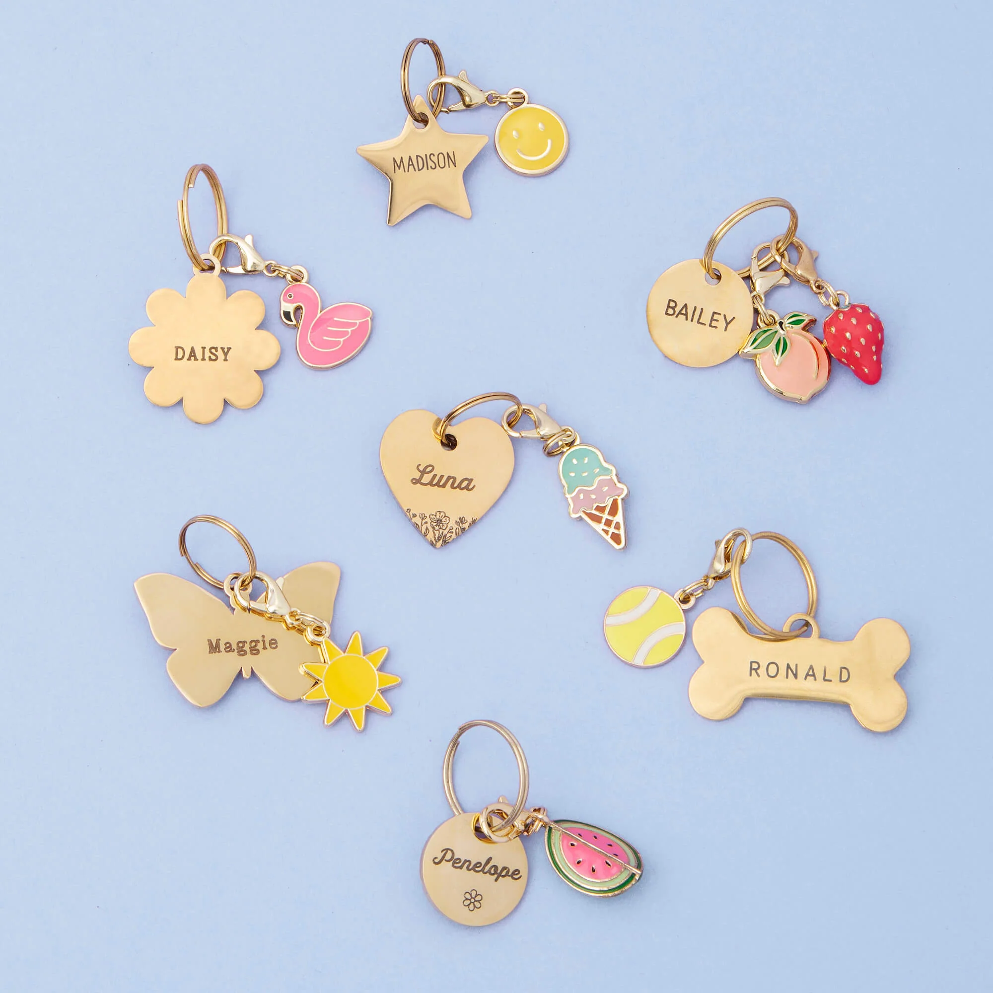 Bone Pet ID Tag - Image 21
