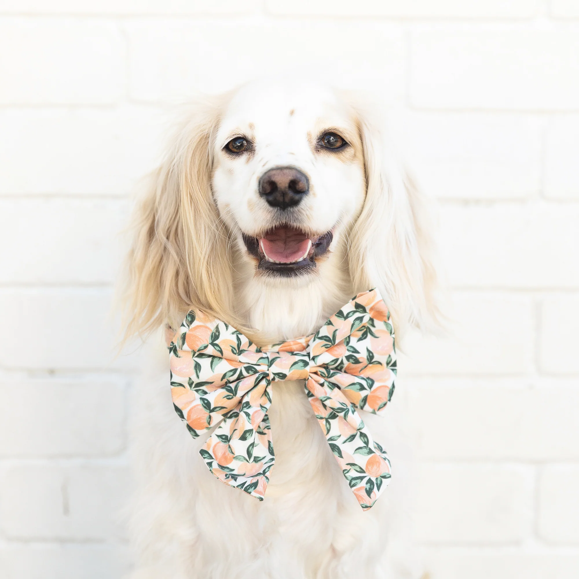 Peaches and Cream Lady Dog Bow - Image 4