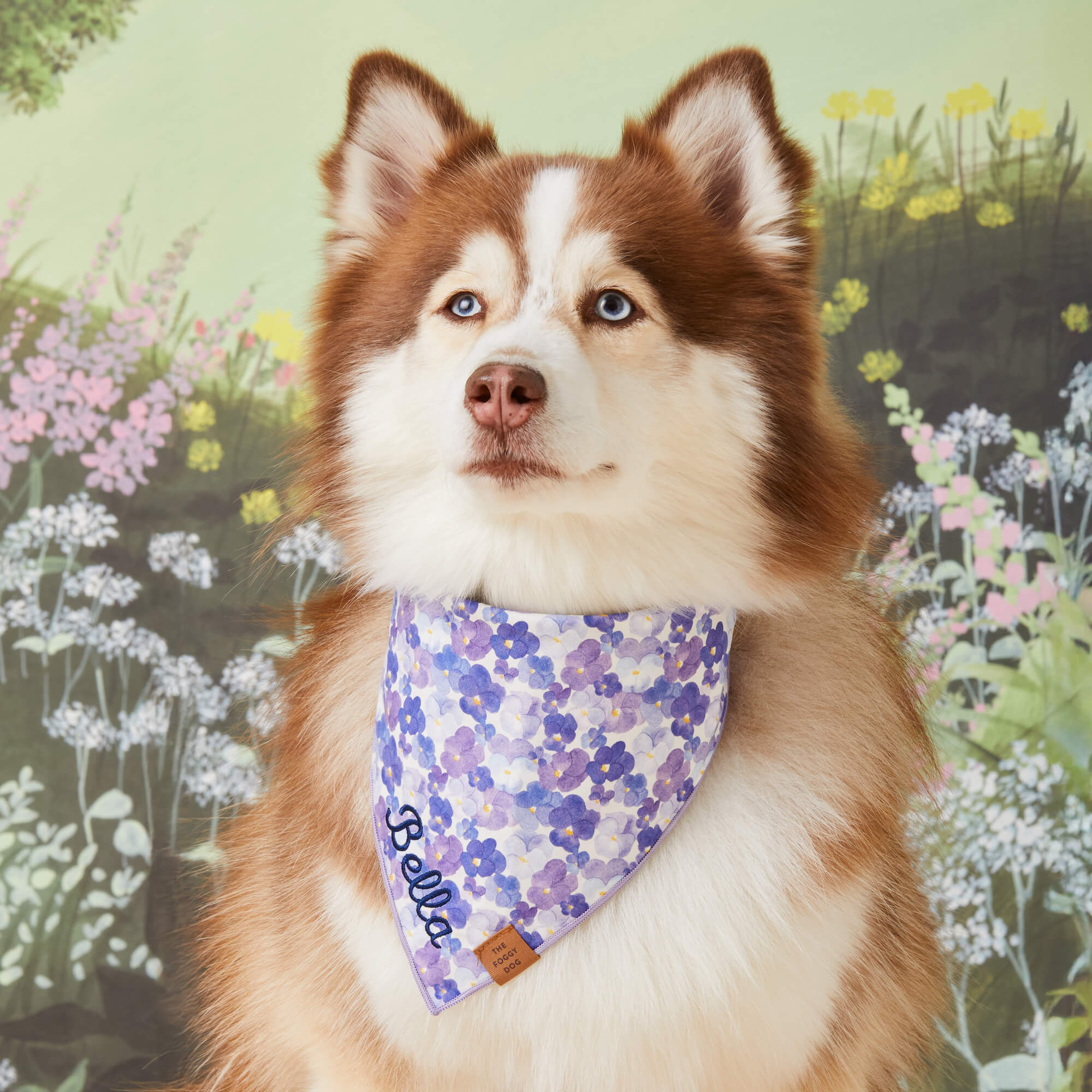 Pressed Pansies Dog Bandana - Image 3