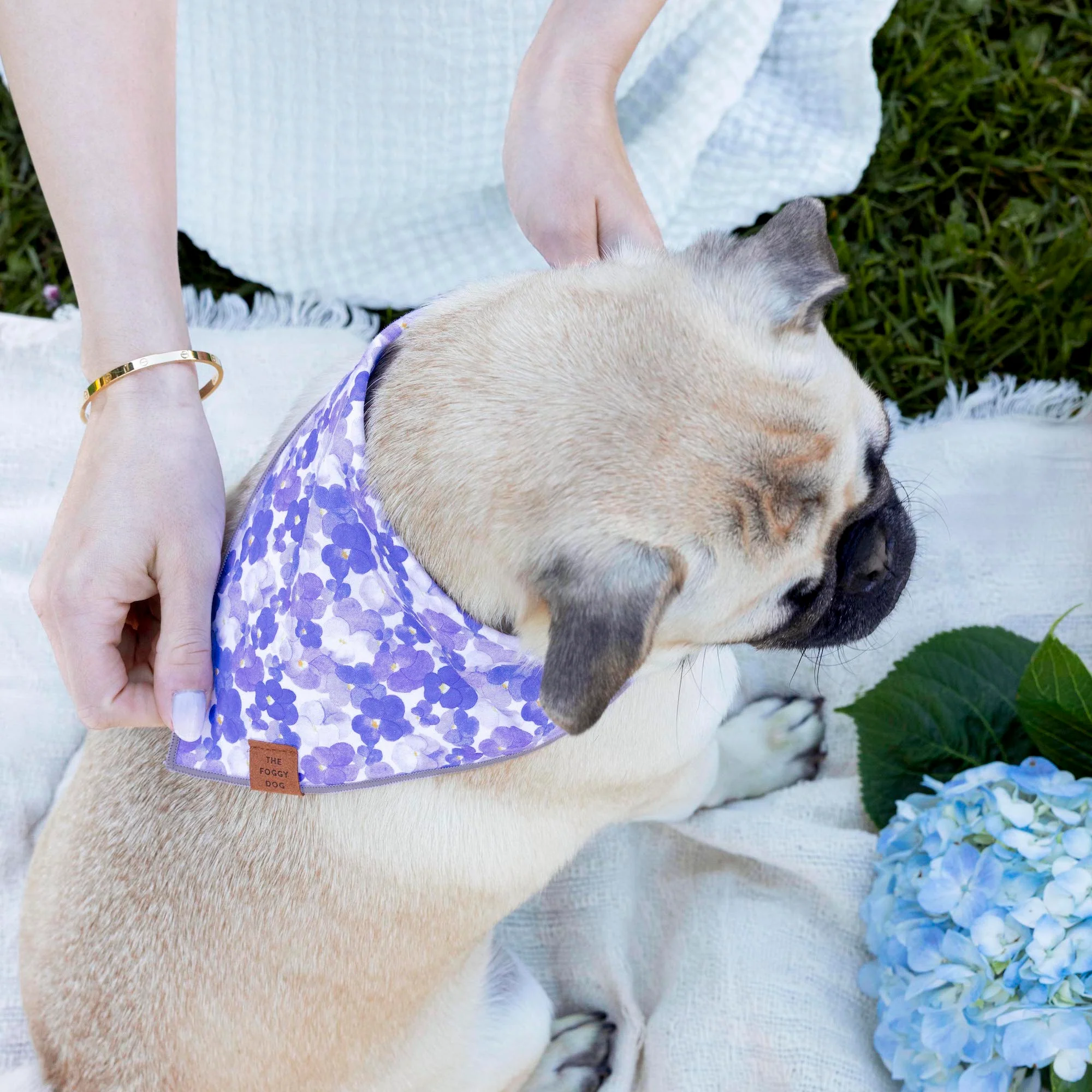 Pressed Pansies Dog Bandana - Image 4