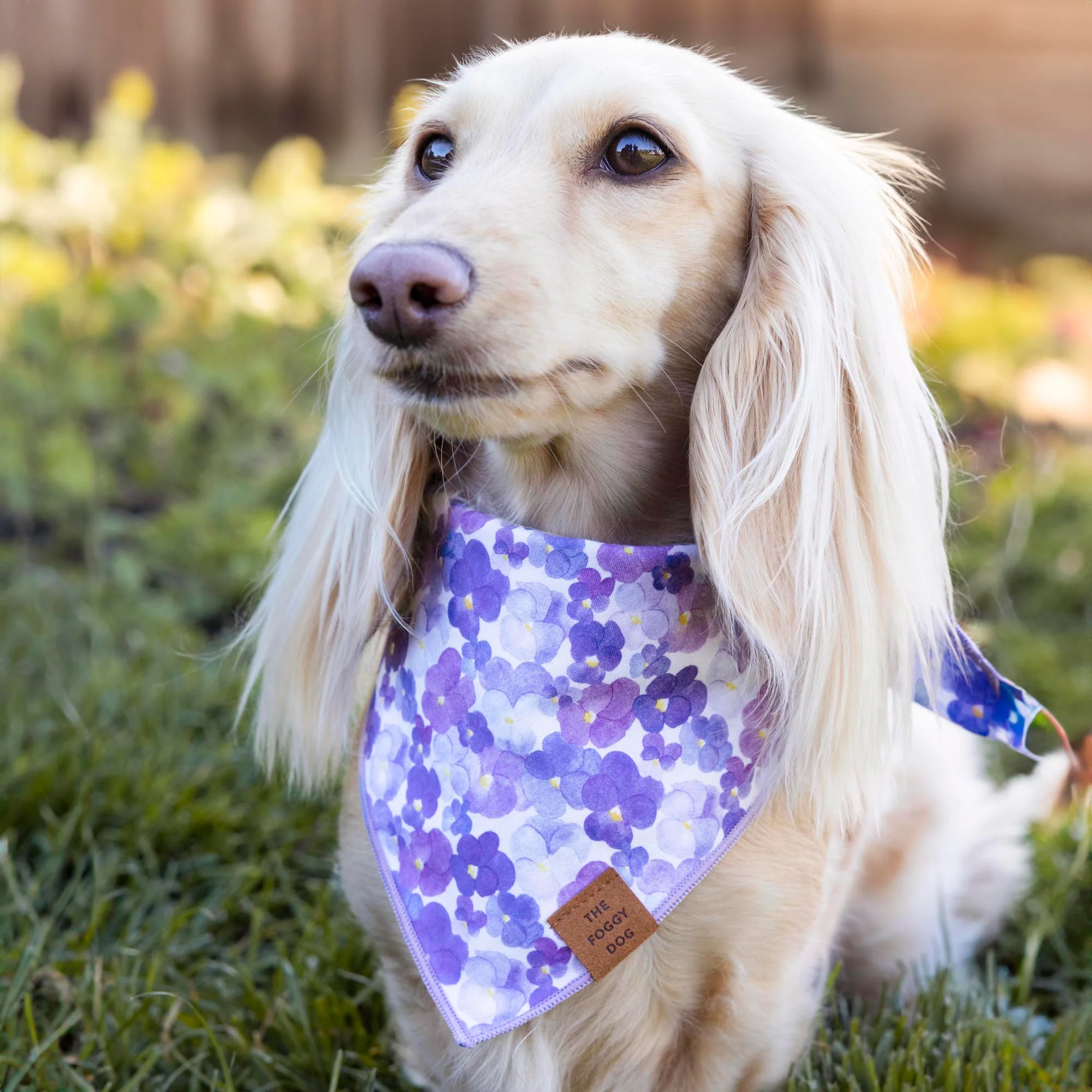 Pressed Pansies Dog Bandana - Image 5