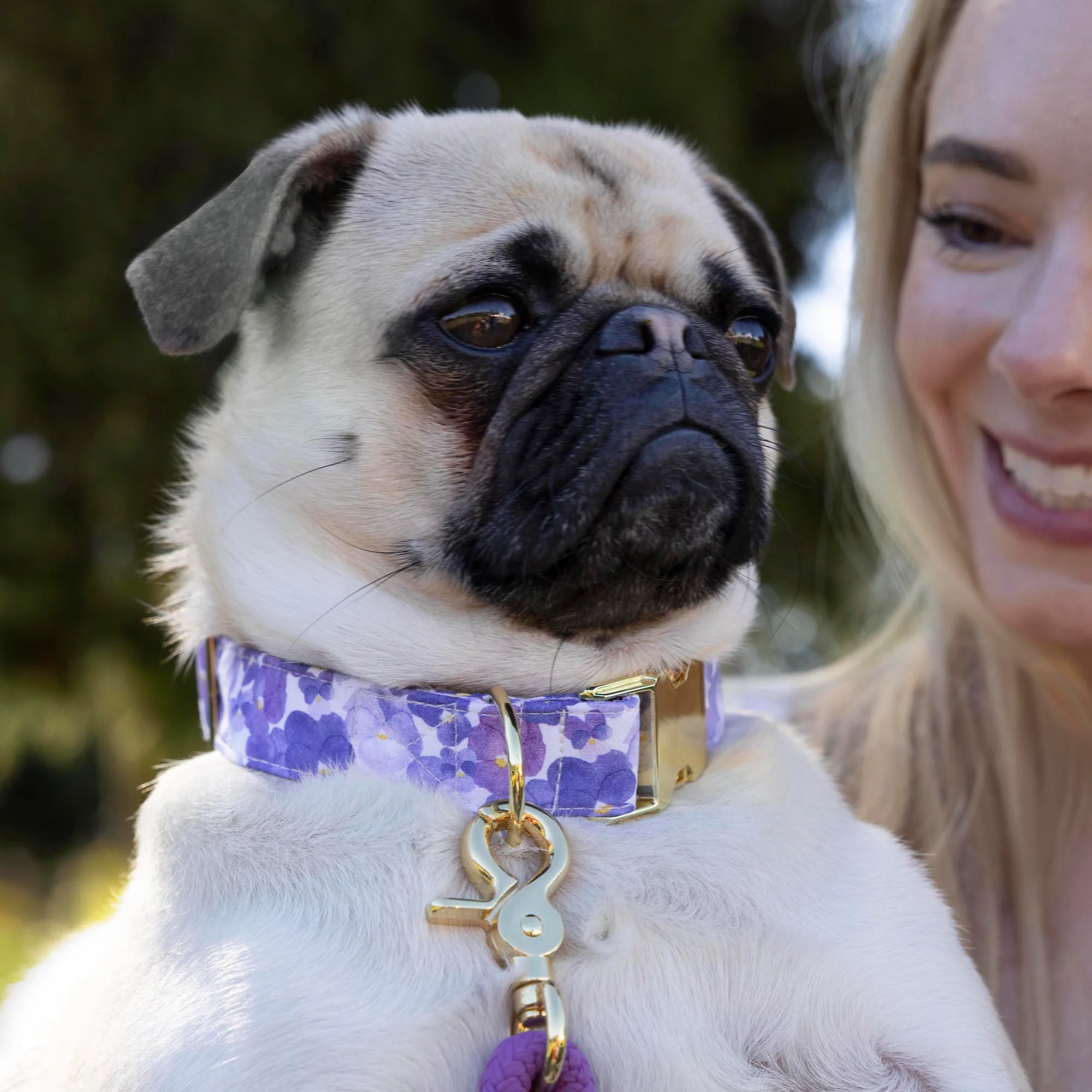Pressed Pansies Dog Collar - Image 5