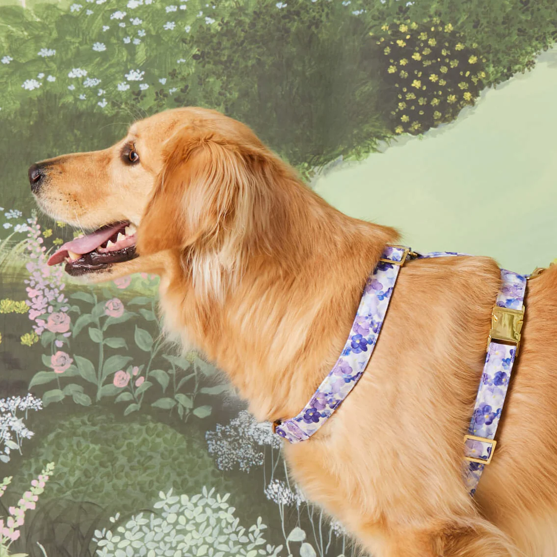 Pressed Pansies Dog Harness - Image 4