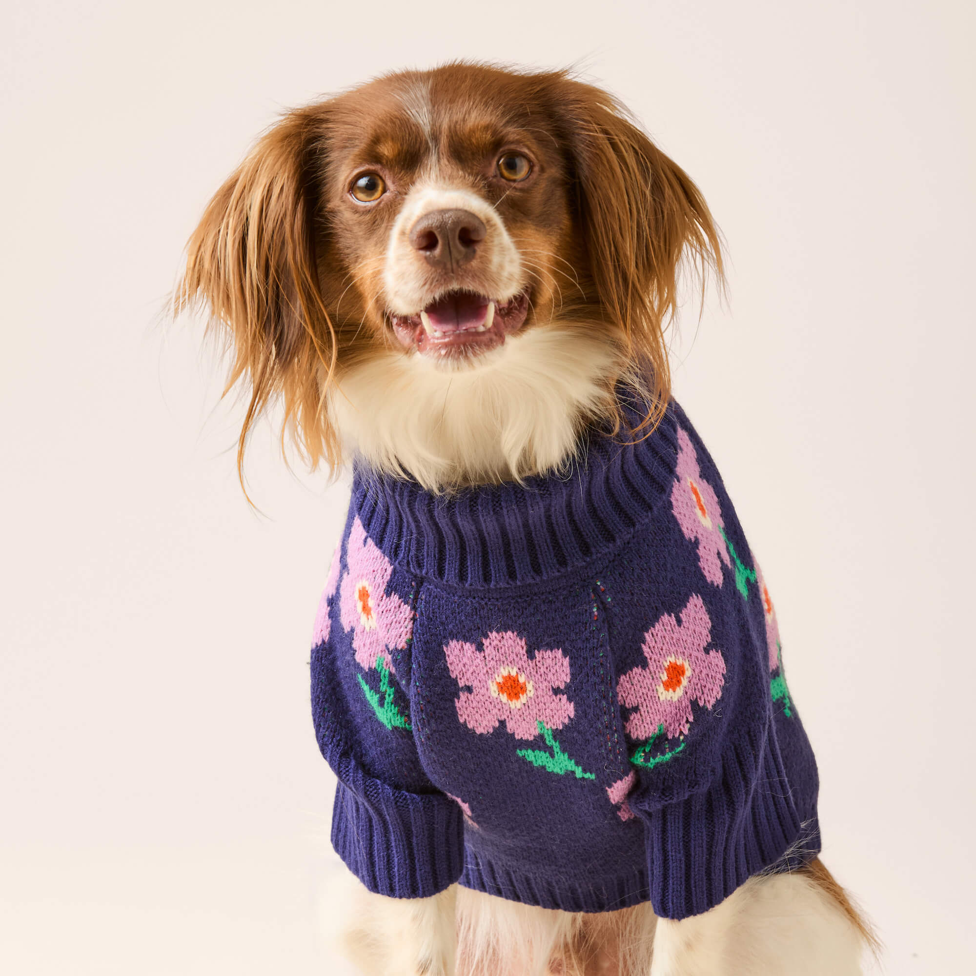 Purple Posies Dog Sweater - Image 2