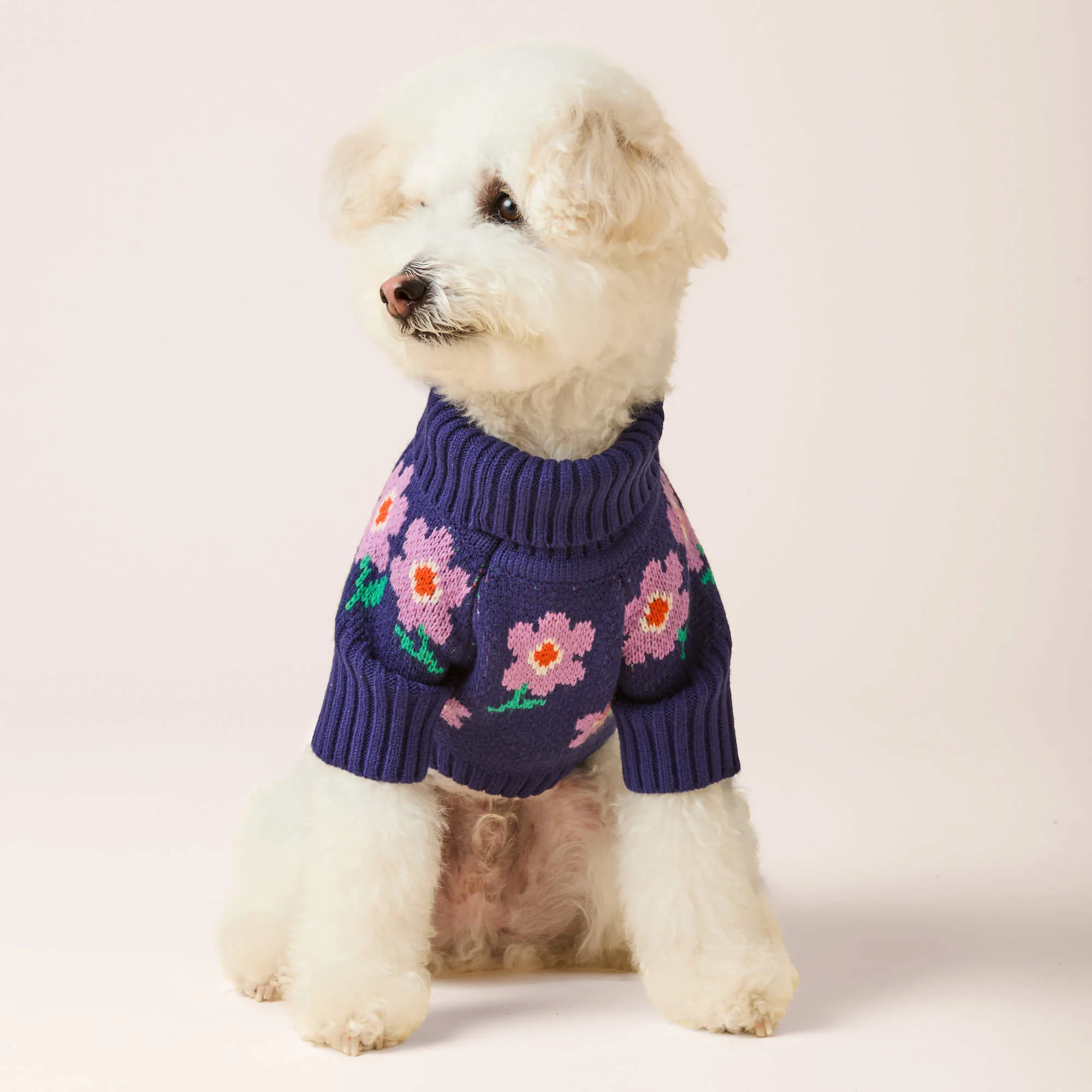 Purple Posies Dog Sweater - Image 4