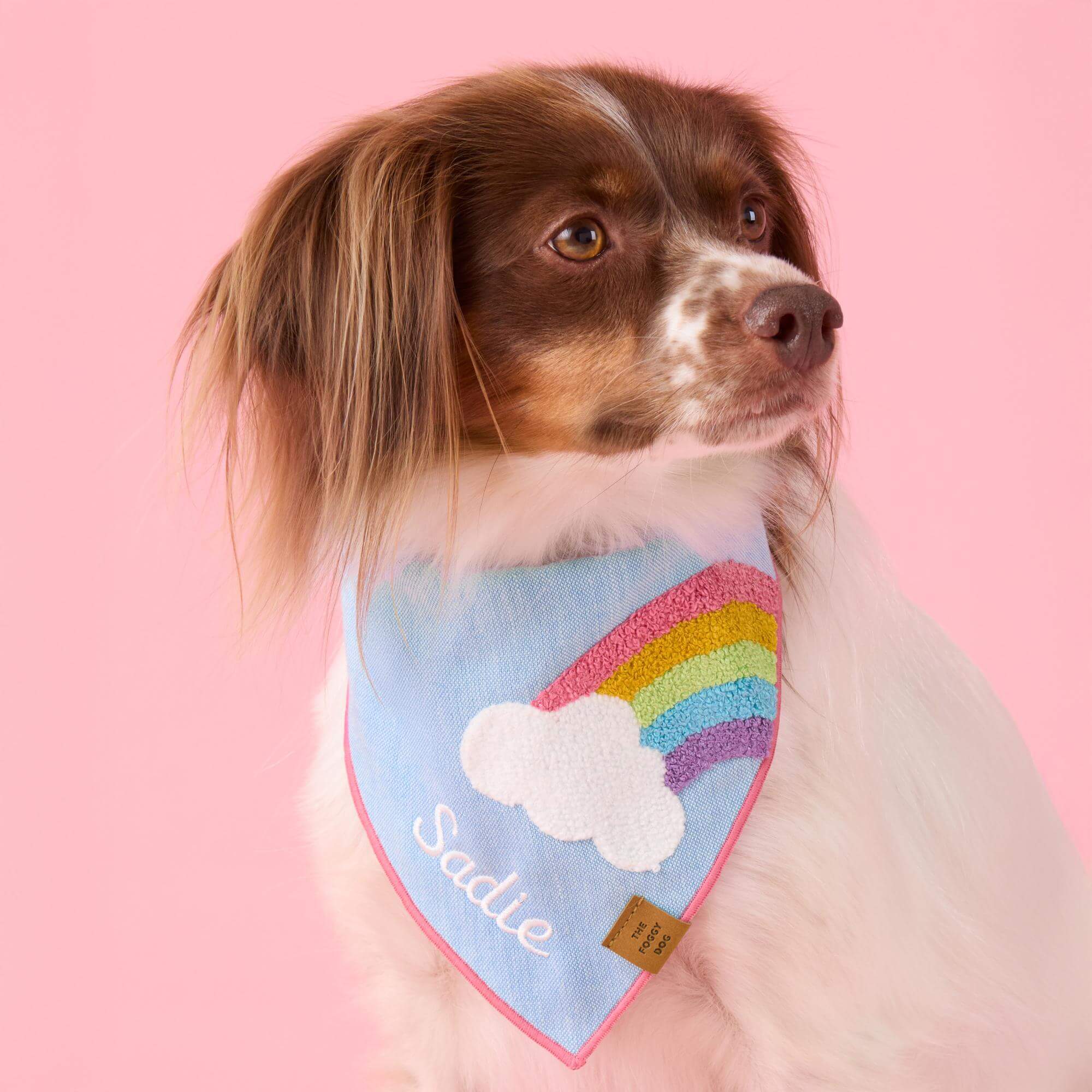 Rainbow Applique Dog Bandana - Image 4