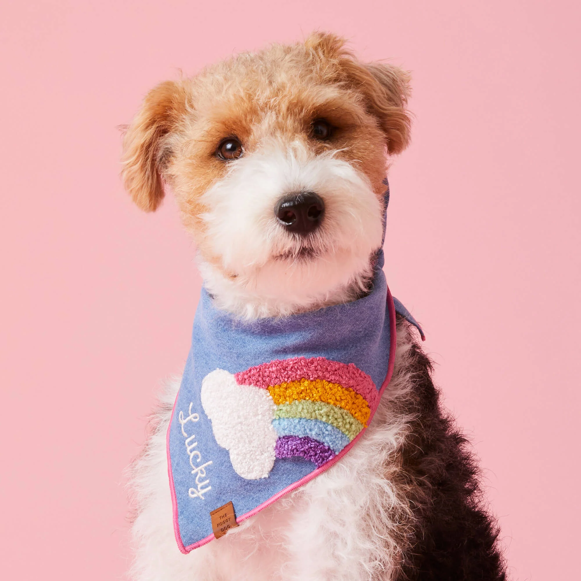 Rainbow Applique Dog Bandana - Image 5