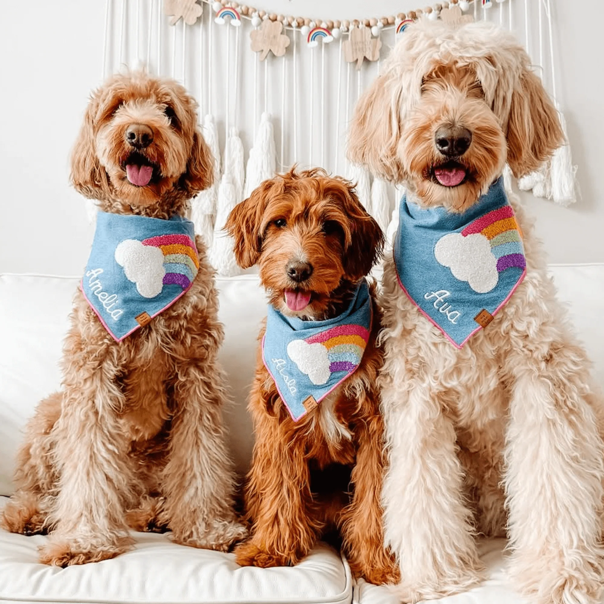 Rainbow Applique Dog Bandana - Image 7