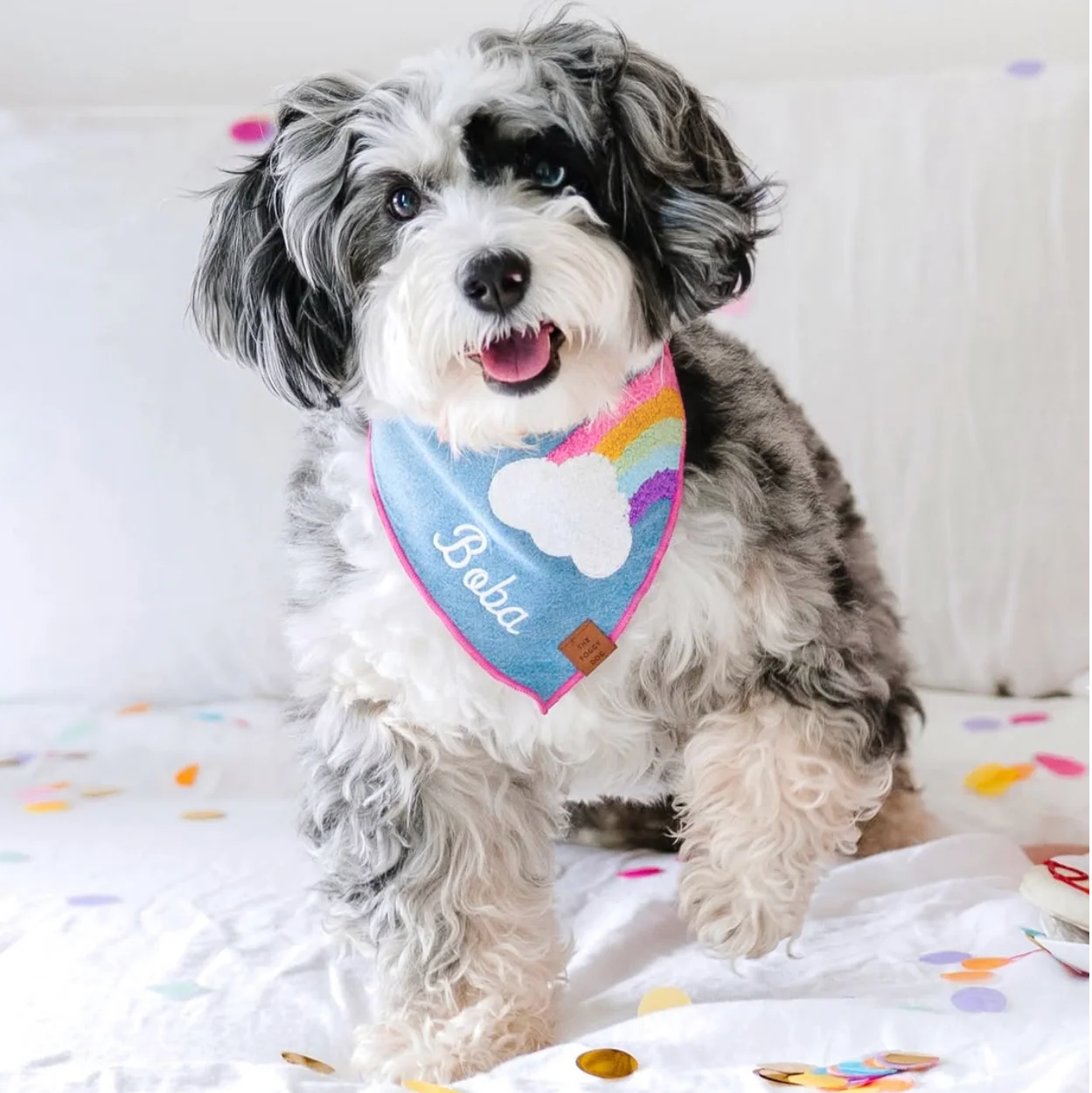 Rainbow Applique Dog Bandana - Image 8