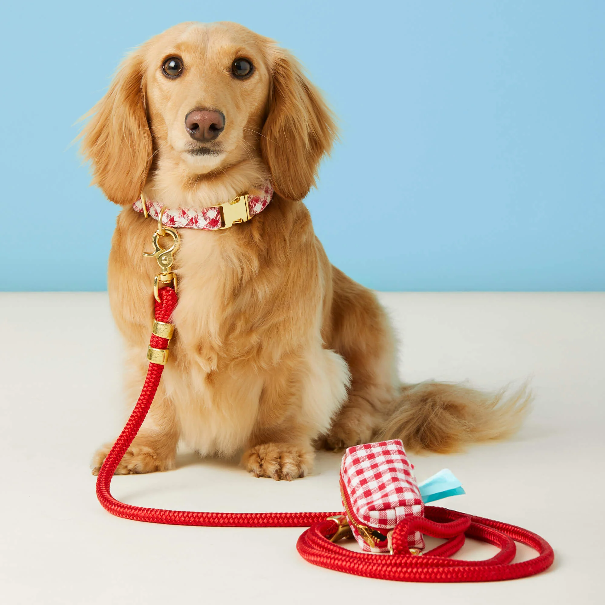 Red Gingham Collar Walk Set - Image 4