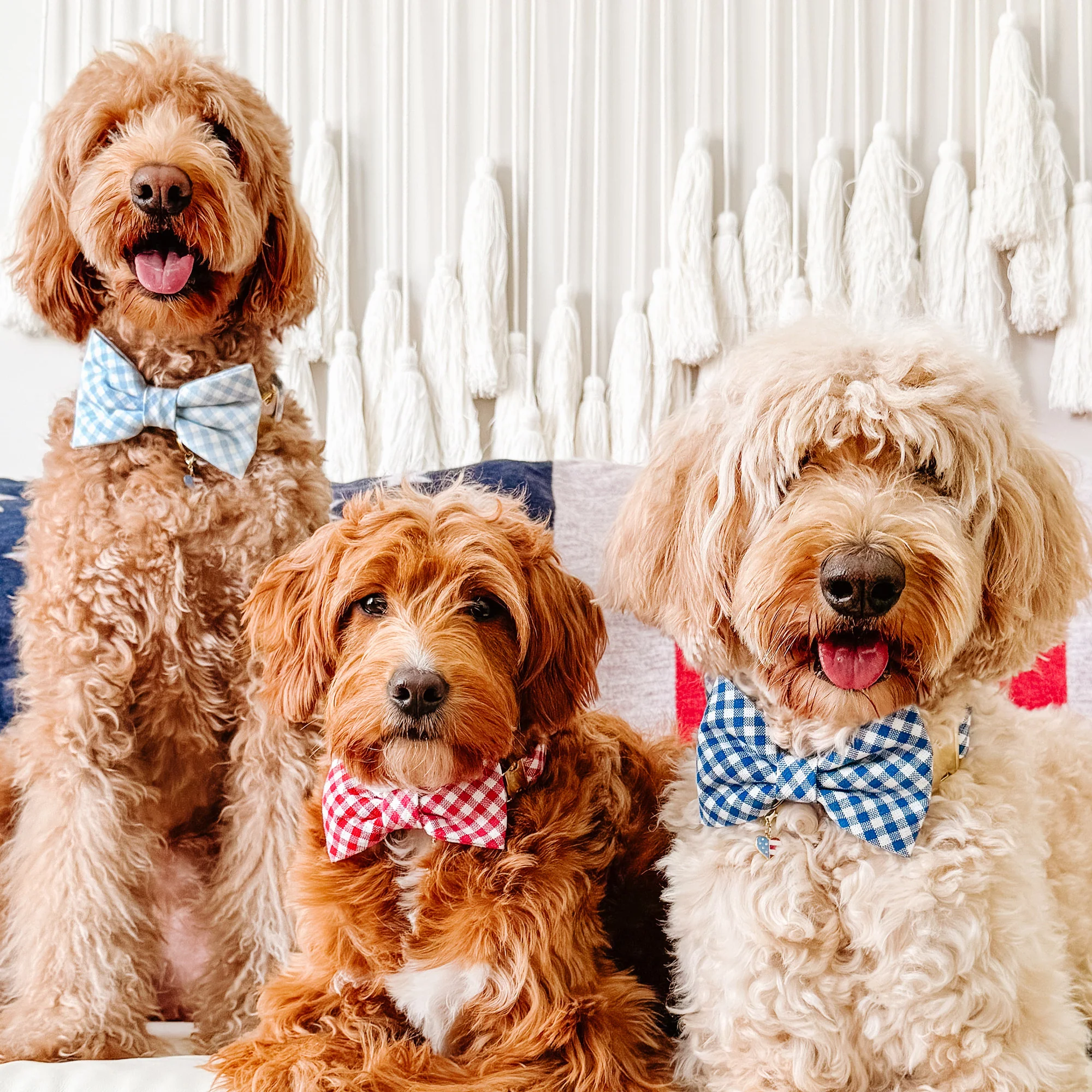 Red Gingham Dog Bow Tie - Image 4