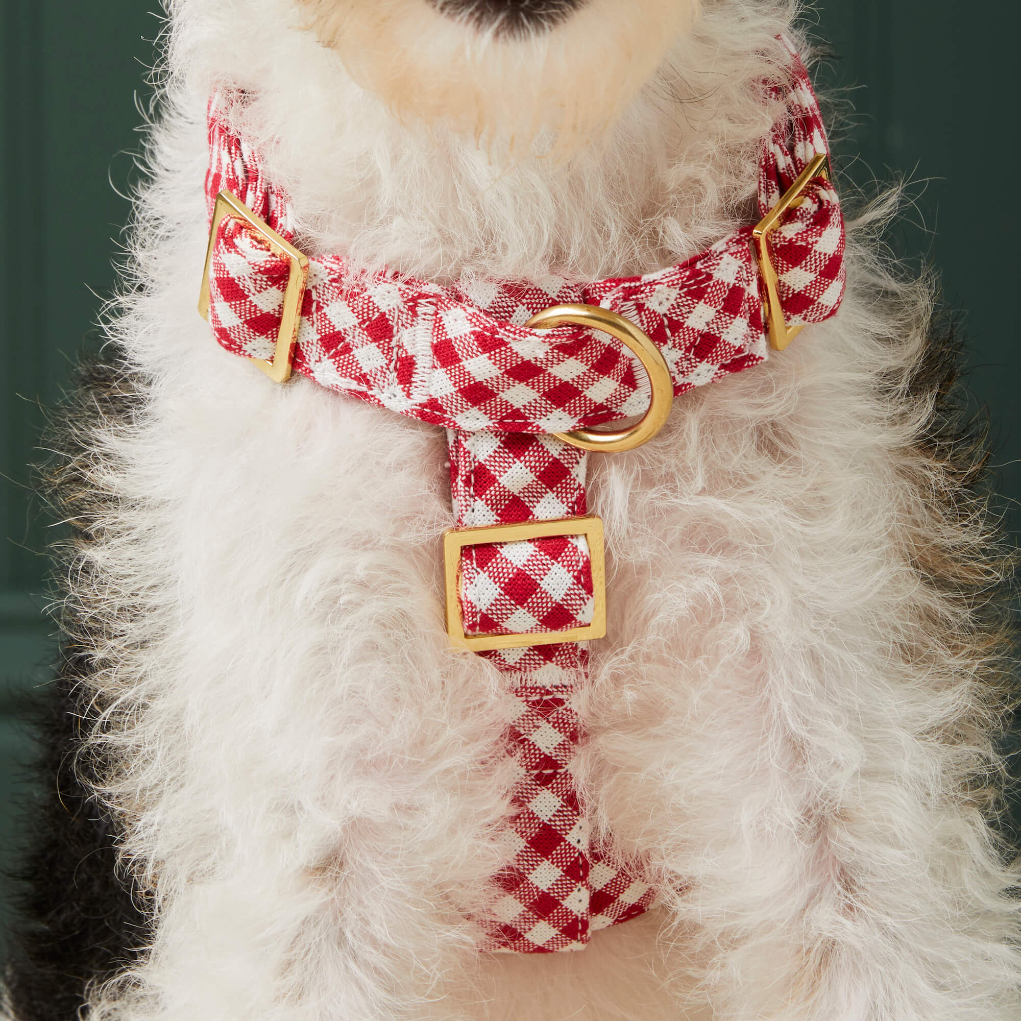 Red Gingham Dog Harness - Image 4