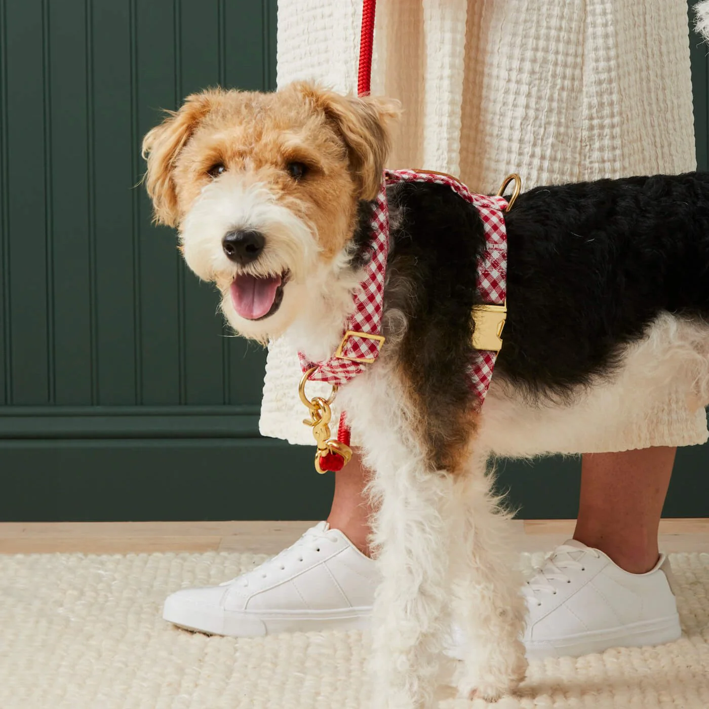 Red Gingham Harness Walk Set - Image 4