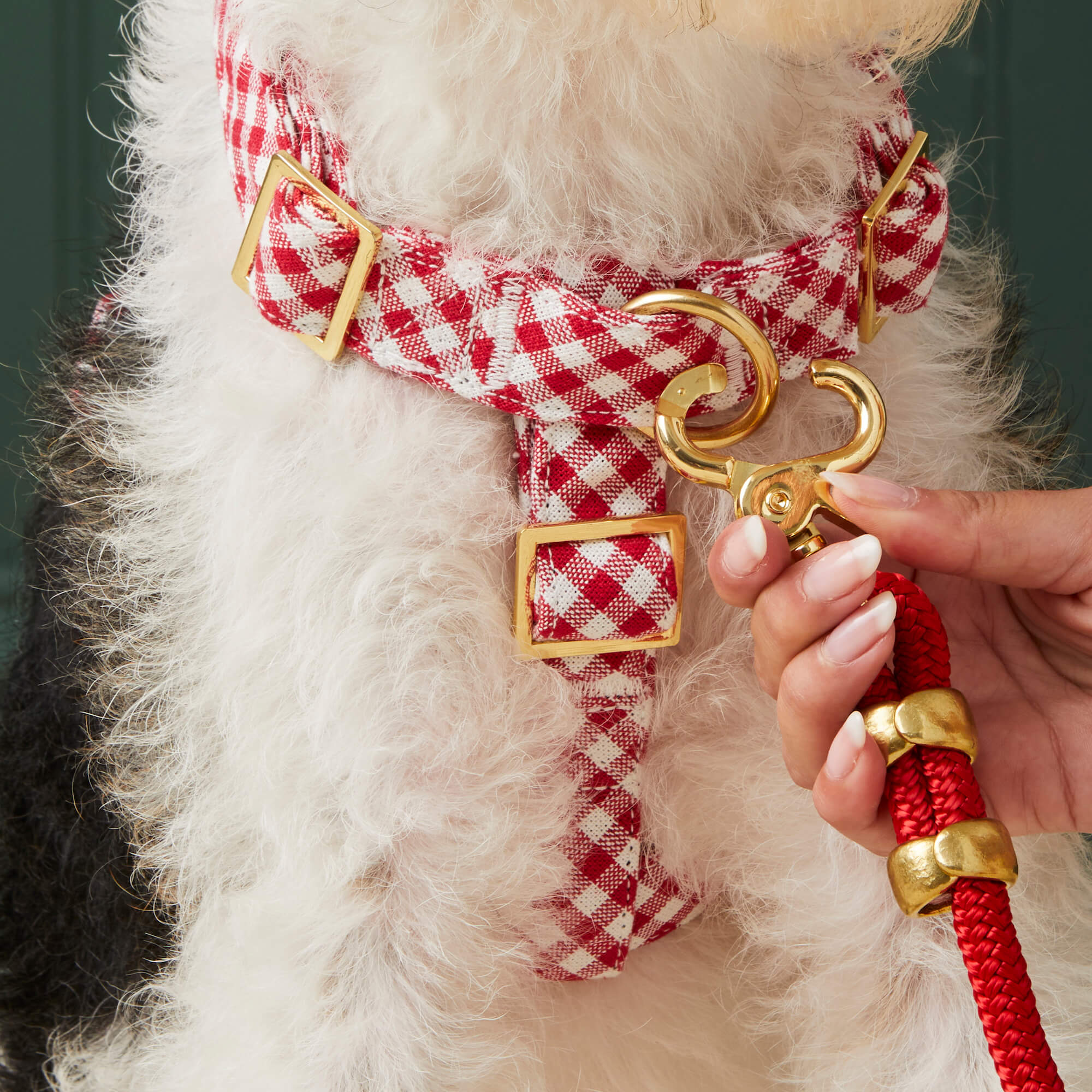 Red Gingham Harness Walk Set - Image 5