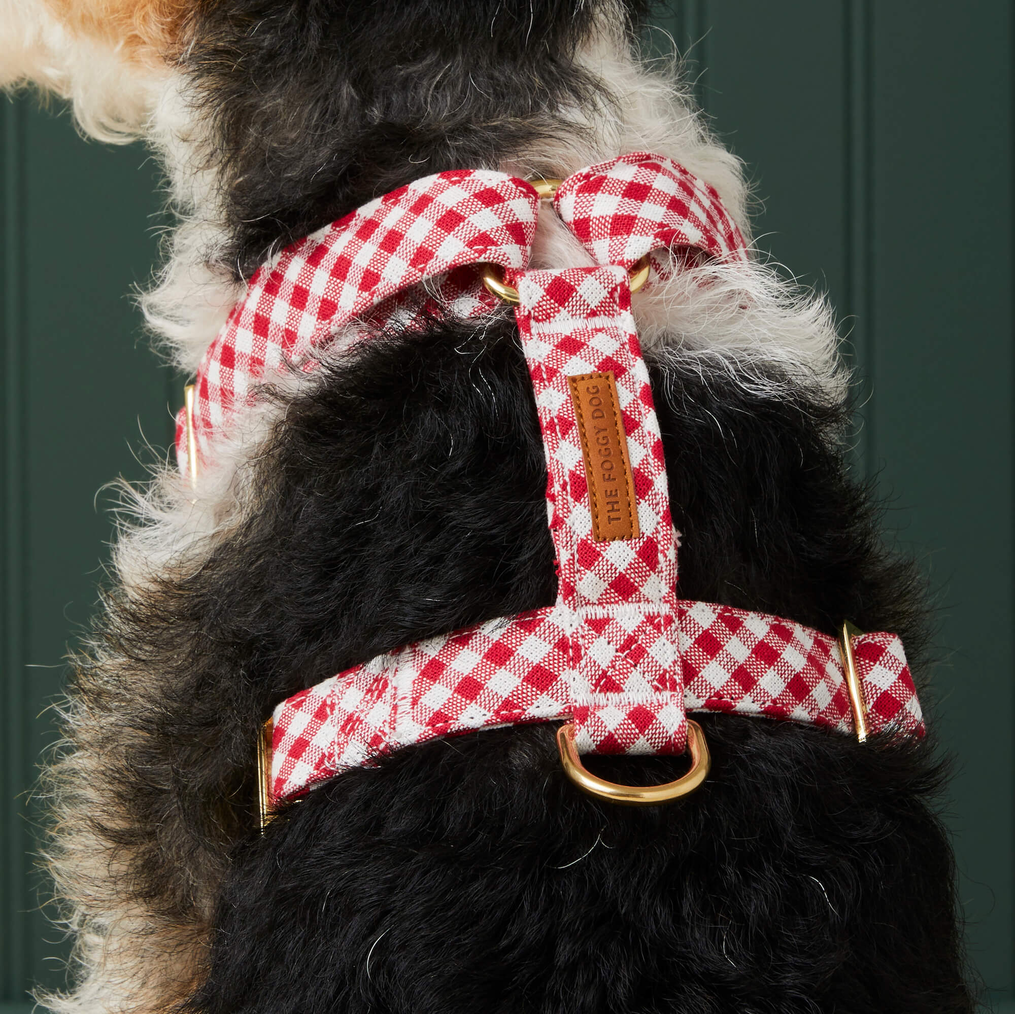 Red Gingham Harness Walk Set - Image 6