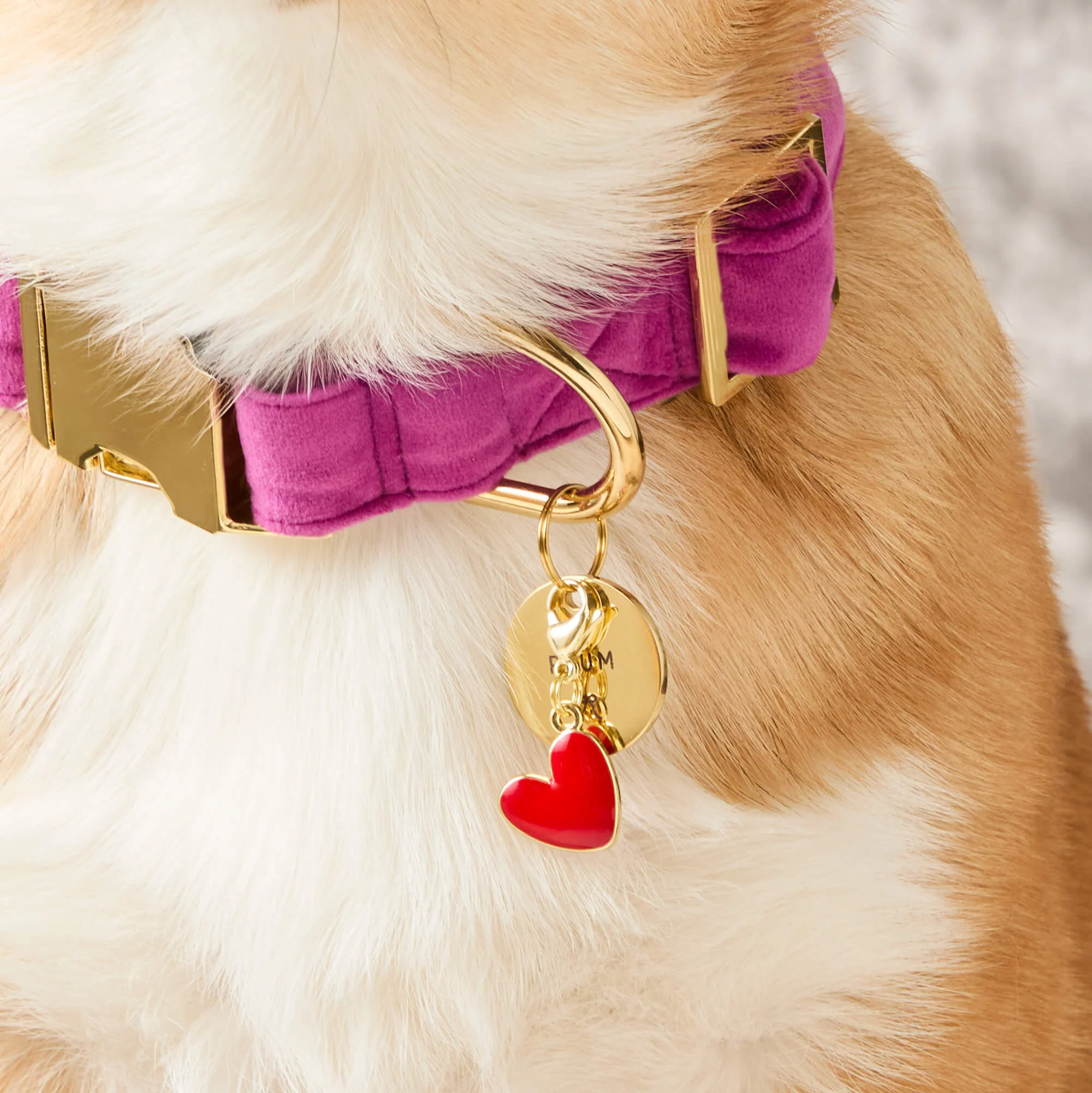 Red Heart Collar Charm - Image 2