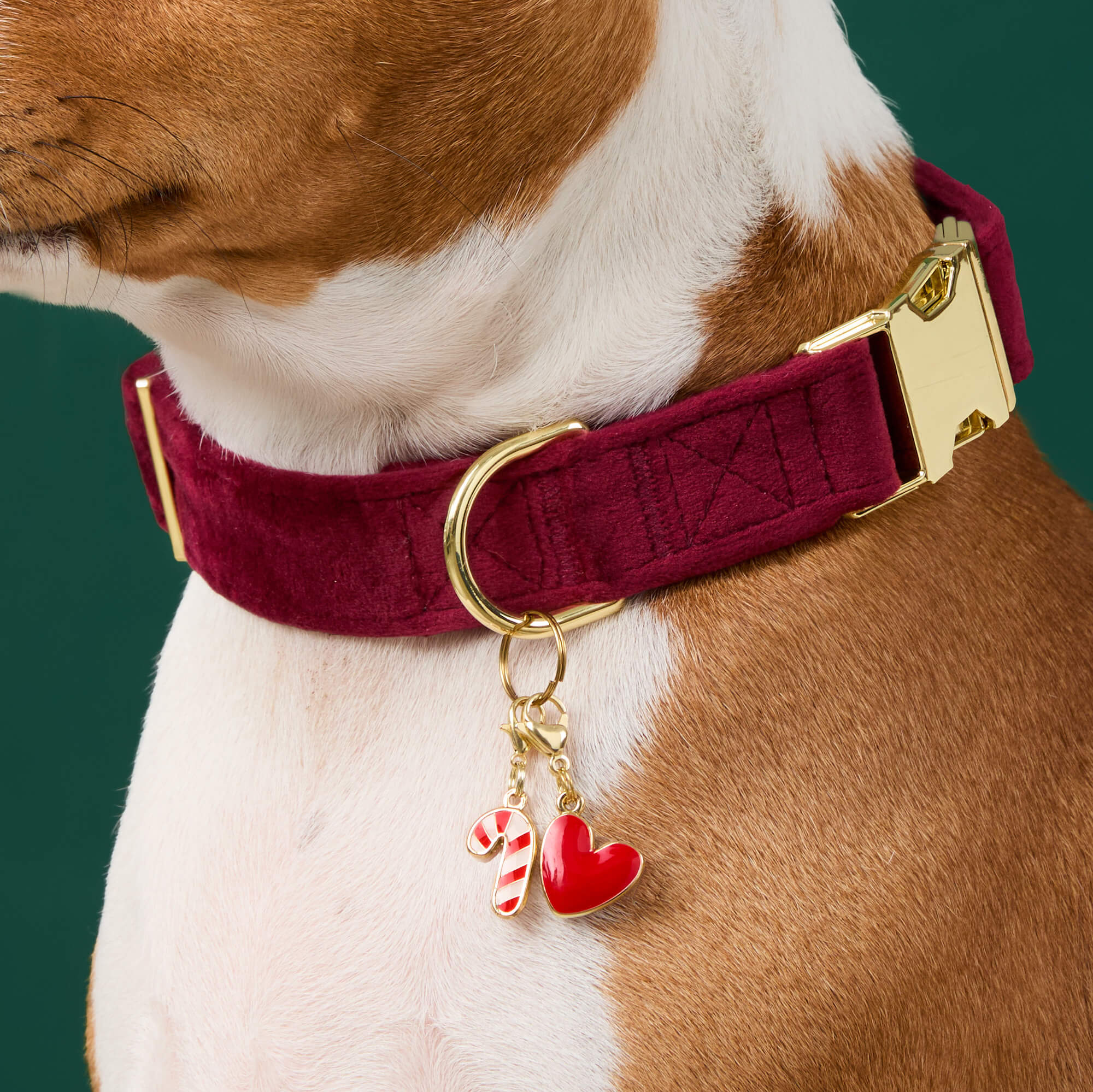 Red Heart Collar Charm - Image 3