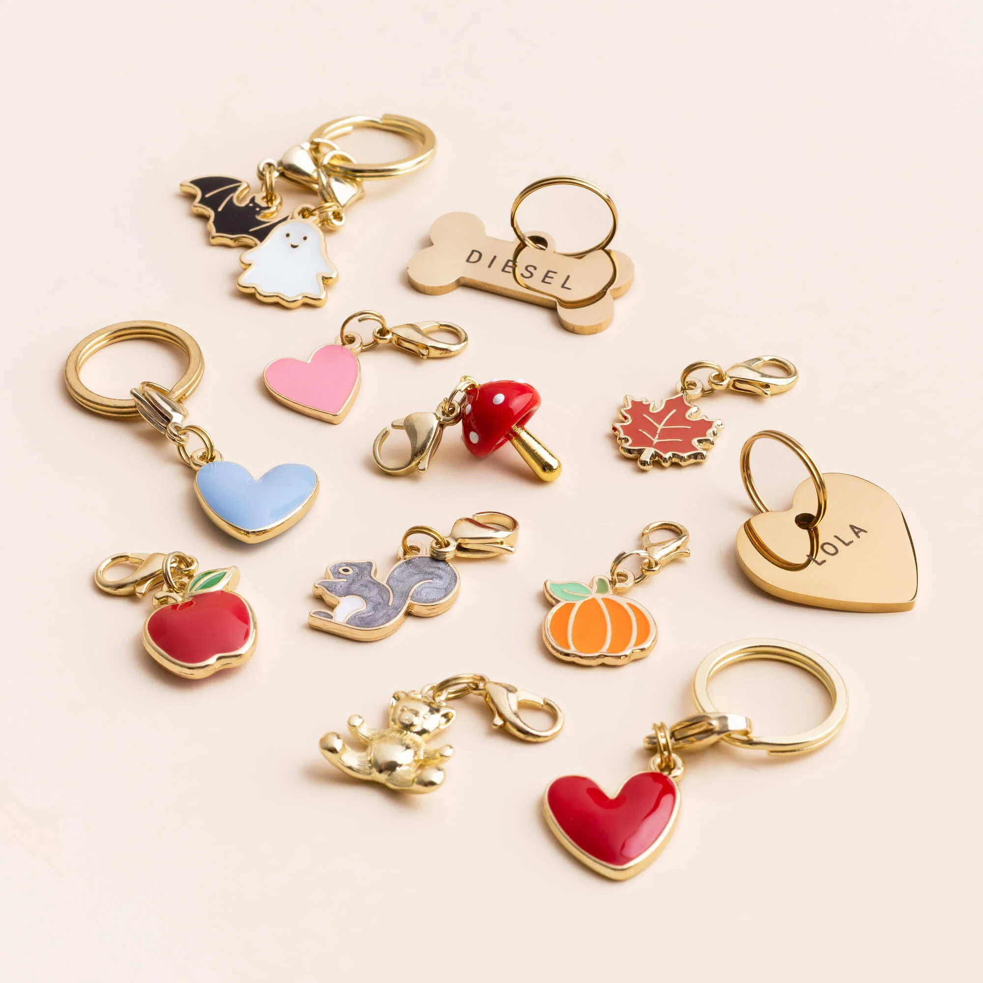 Bone Pet ID Tag - Image 11