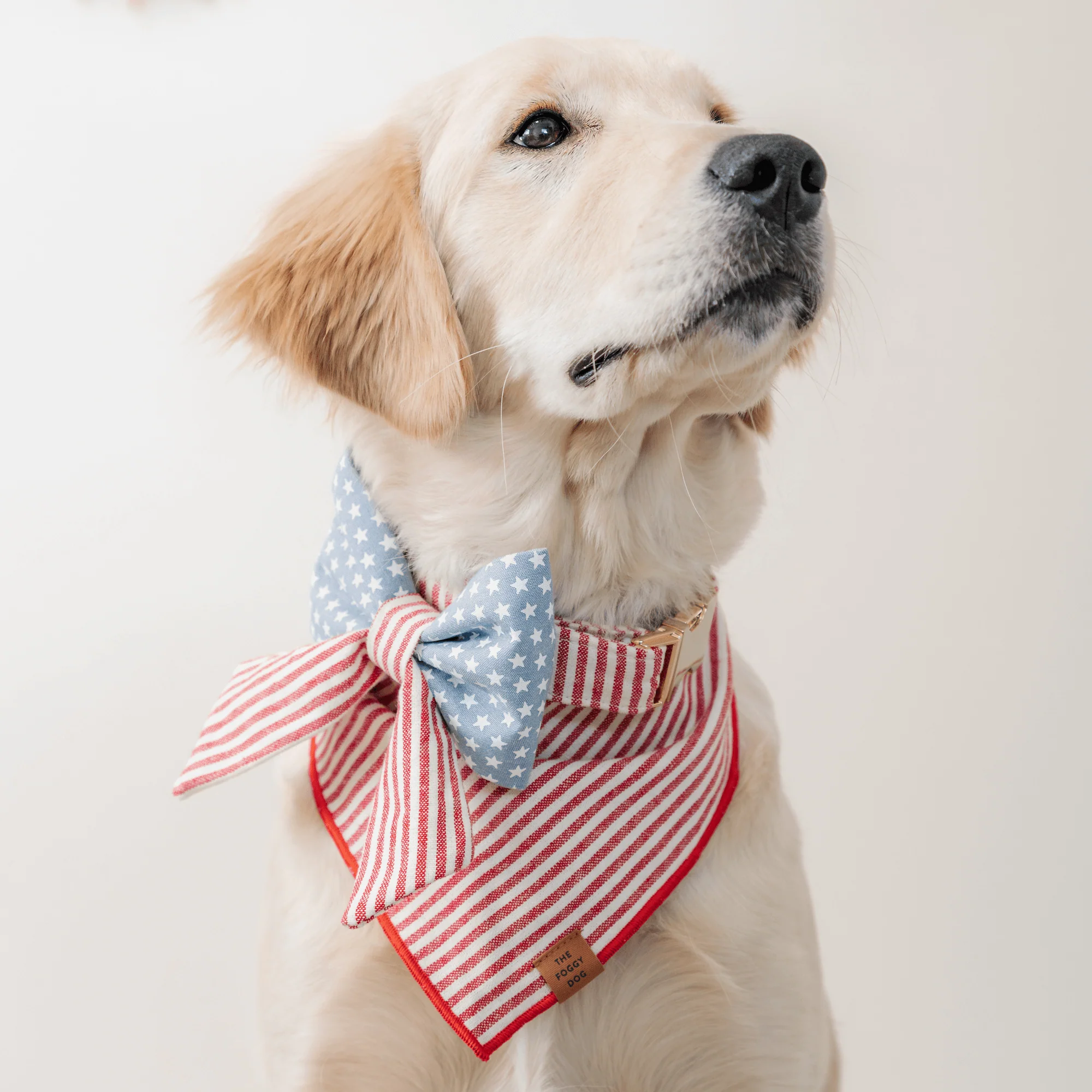 Red Stripe Dog Bandana - Image 7