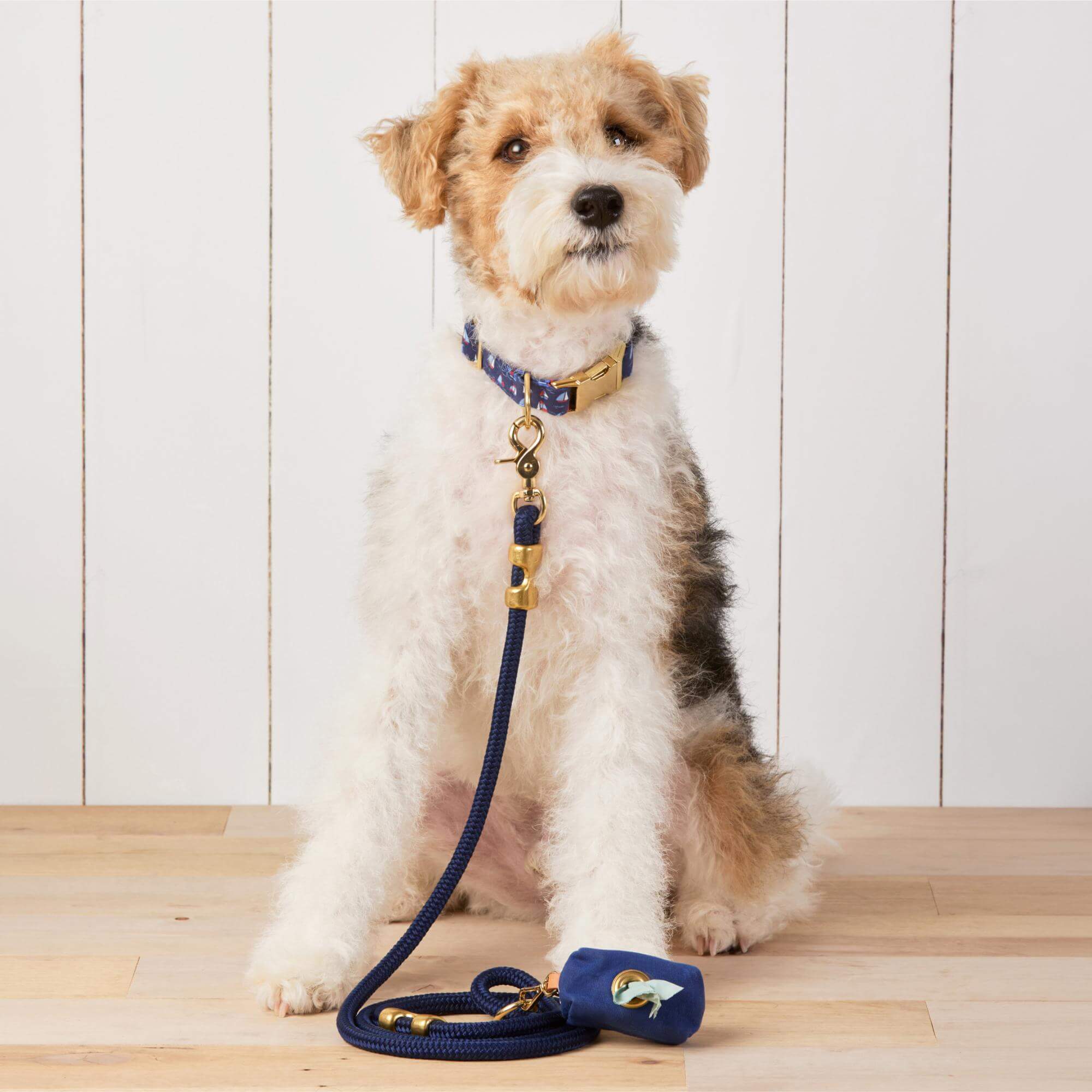 Regatta Collar Walk Set - Image 4