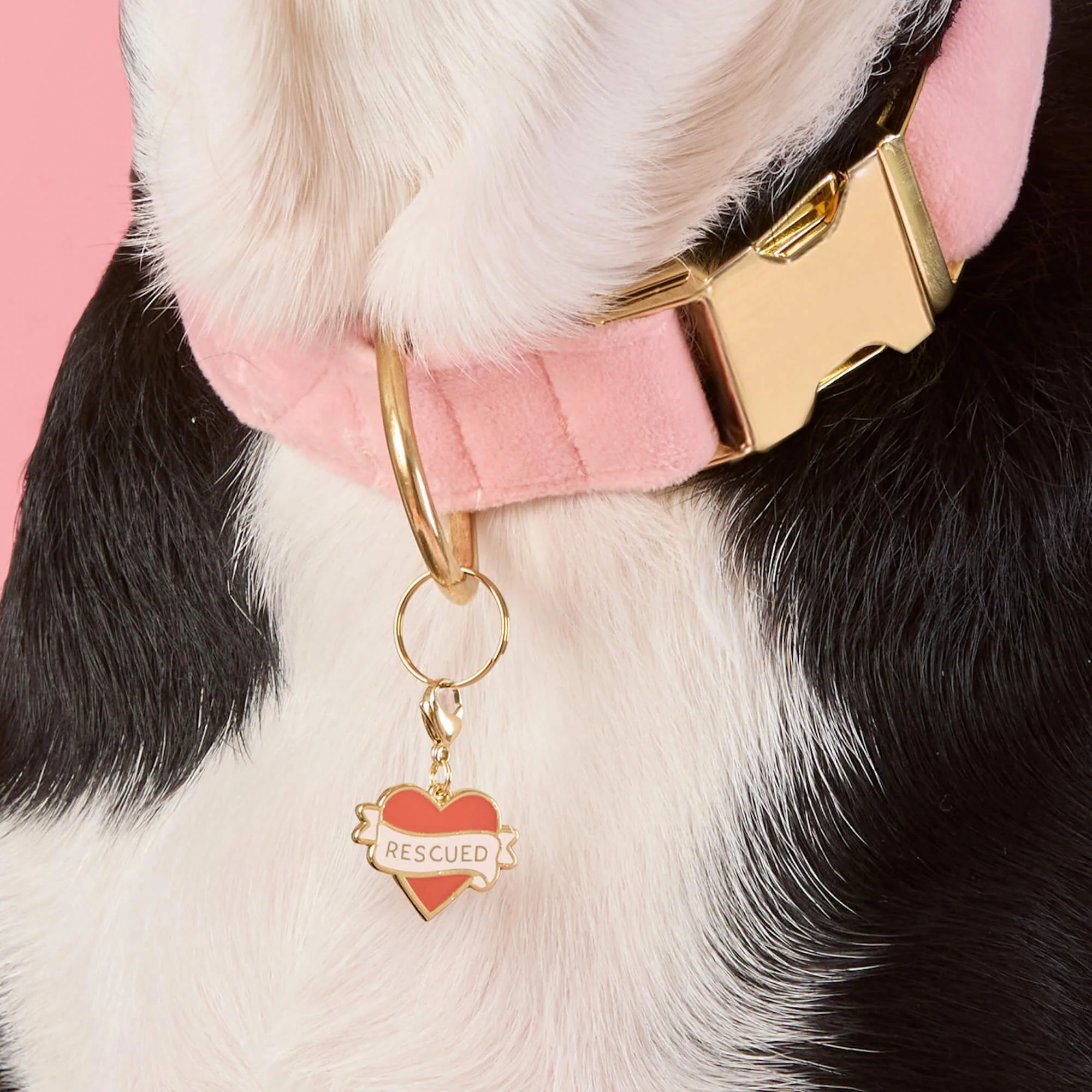 Rescued With Love Collar Charm - Image 2
