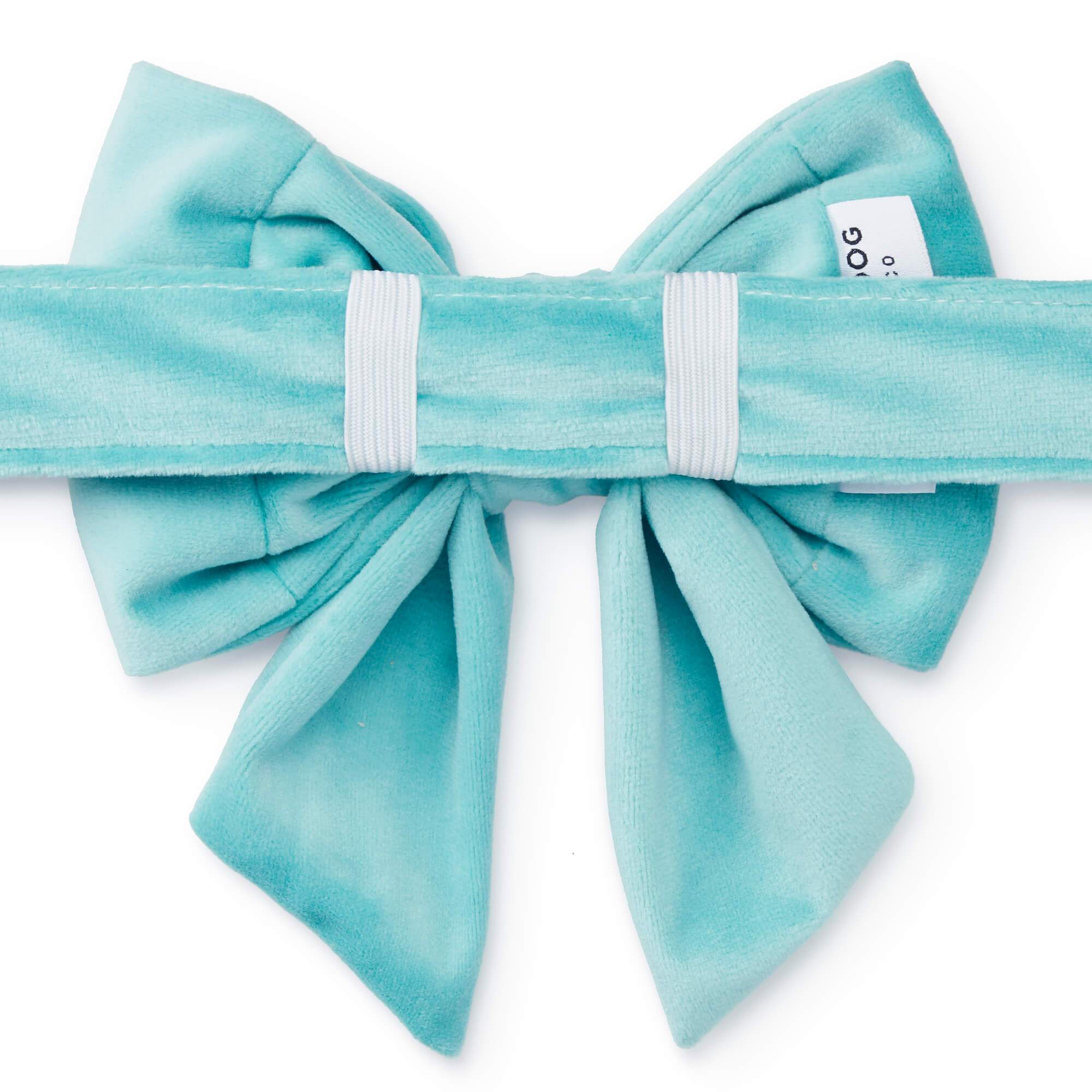 Robin’s Egg Velvet Lady Dog Bow - Image 3