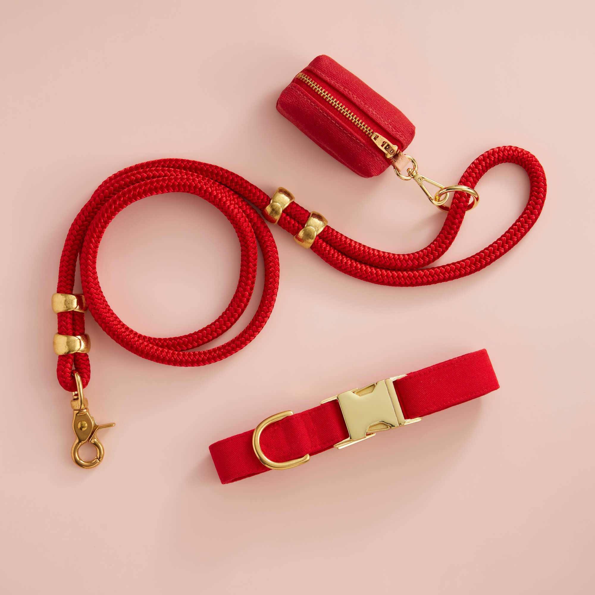 Ruby Collar Walk Set - Image 2