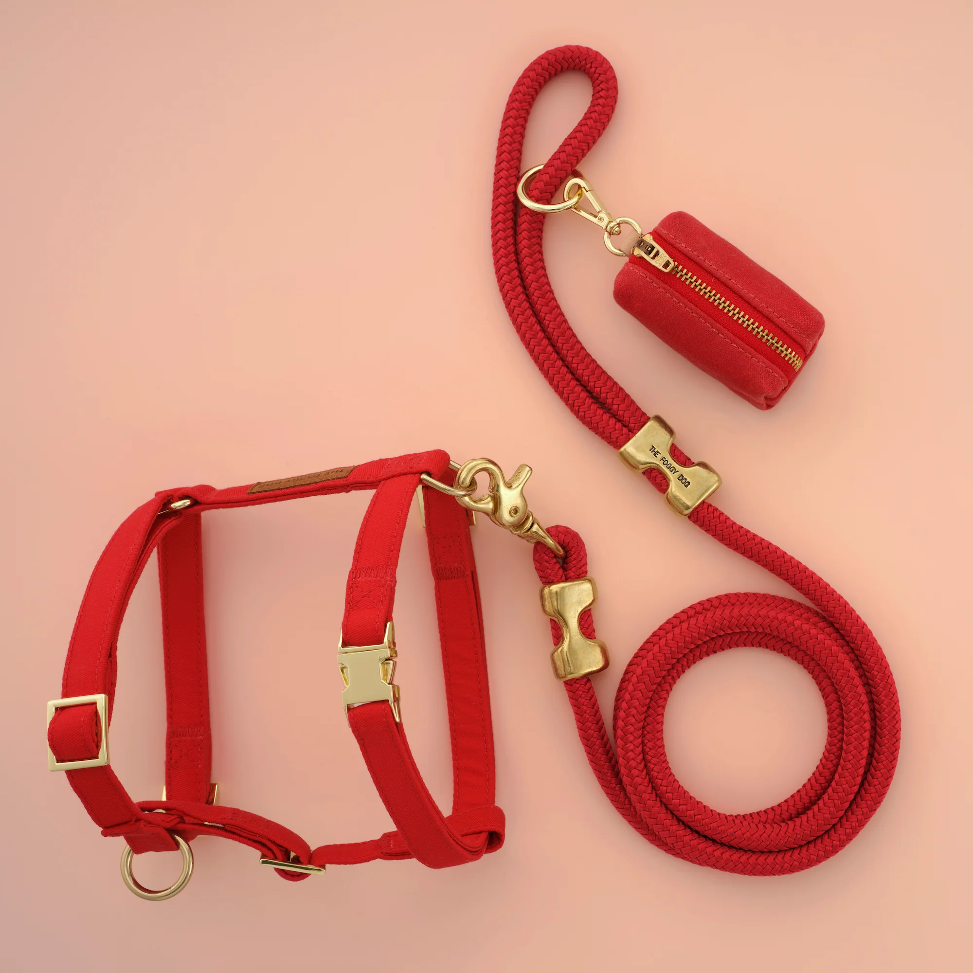 Ruby Harness Walk Set - Image 2