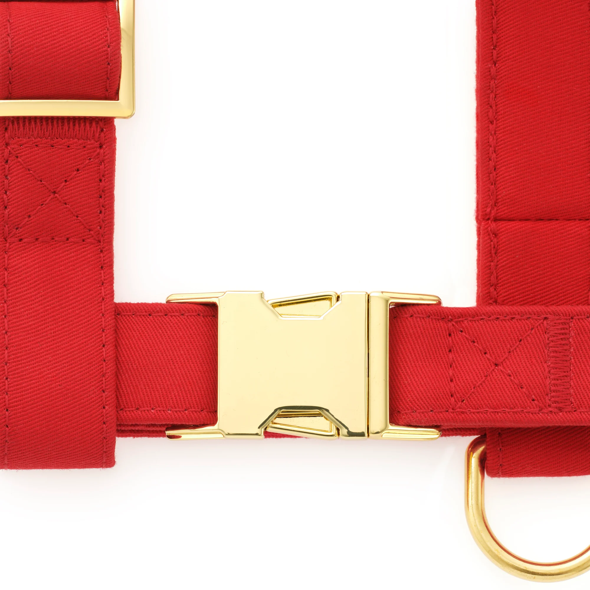 Ruby Harness Walk Set - Image 3