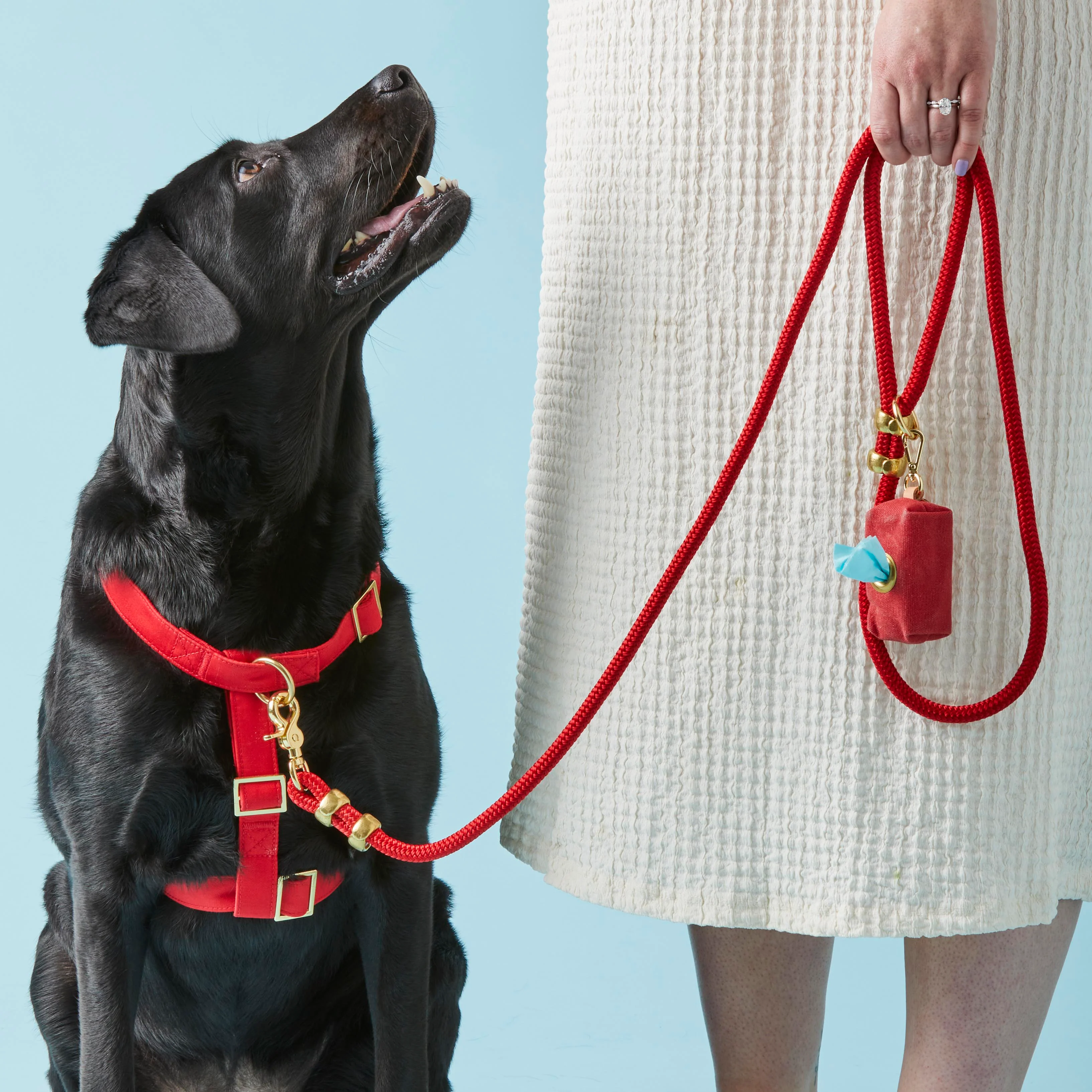 Ruby Harness Walk Set - Image 4