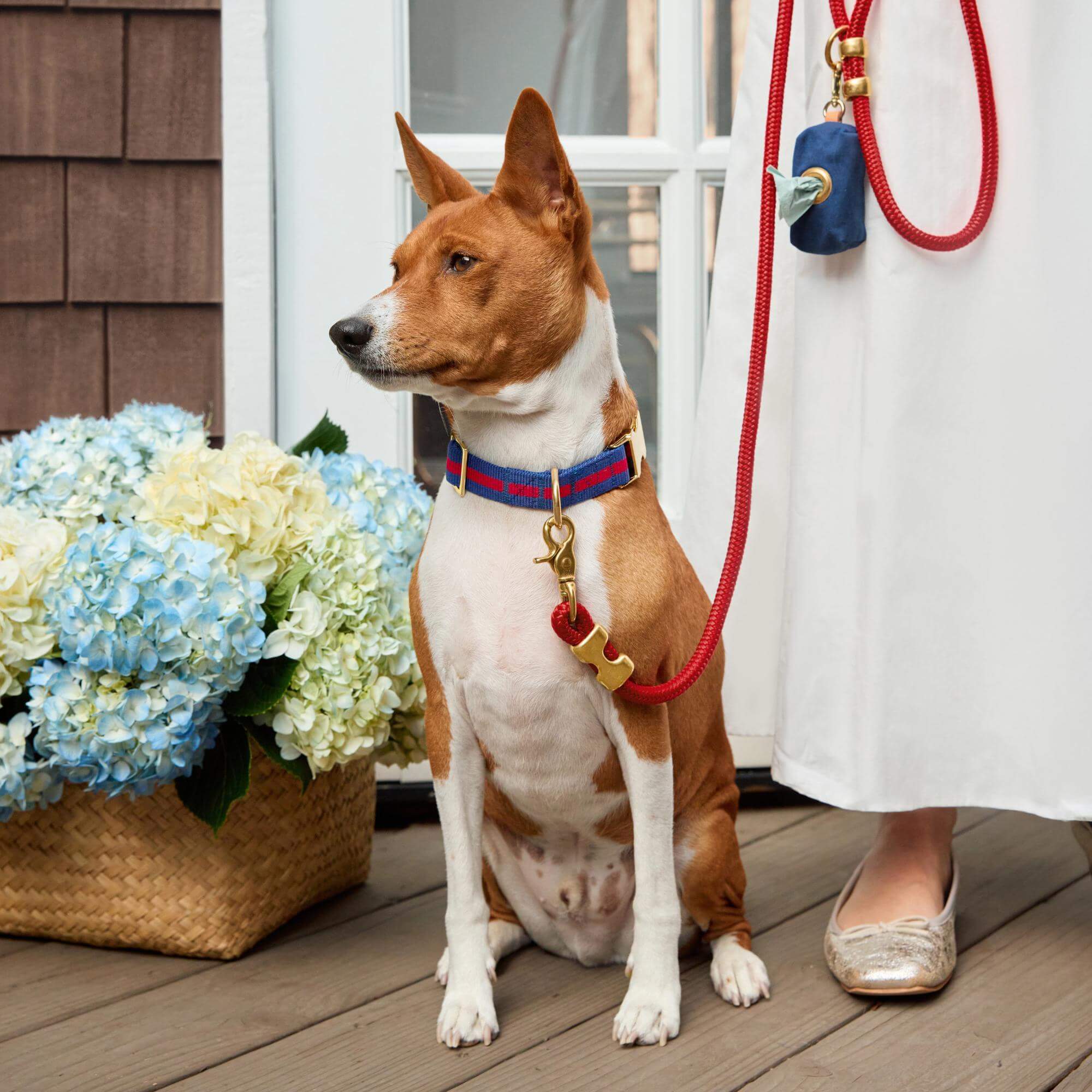Ruby Marine Rope Dog Leash - Image 7
