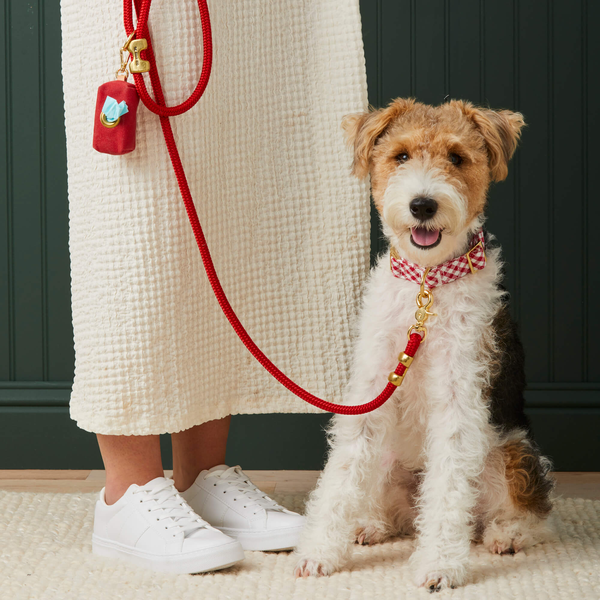 Ruby Marine Rope Dog Leash - Image 8
