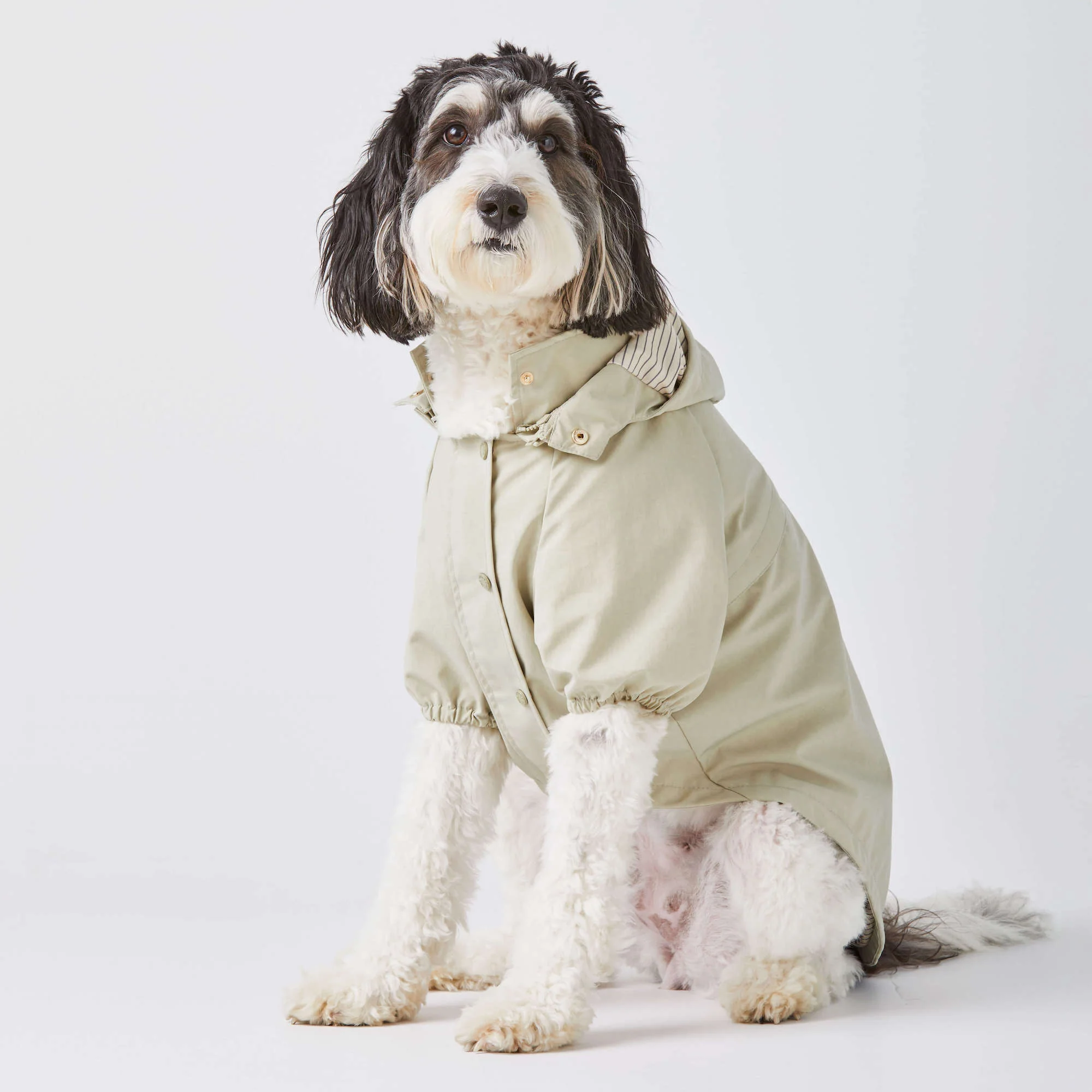 Sage Dog Raincoat