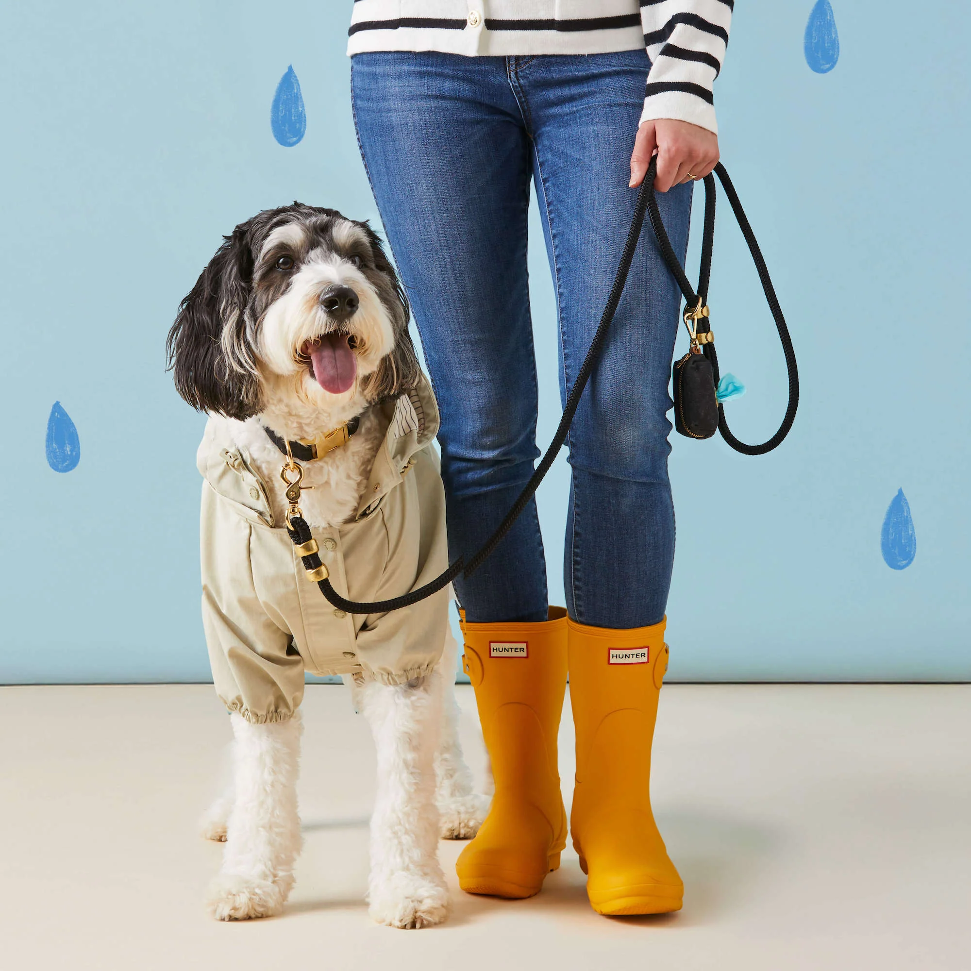 Sage Dog Raincoat - Image 11