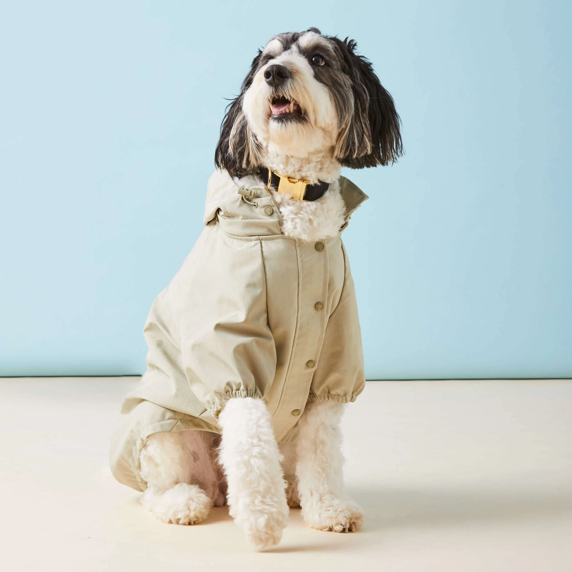 Sage Dog Raincoat - Image 8