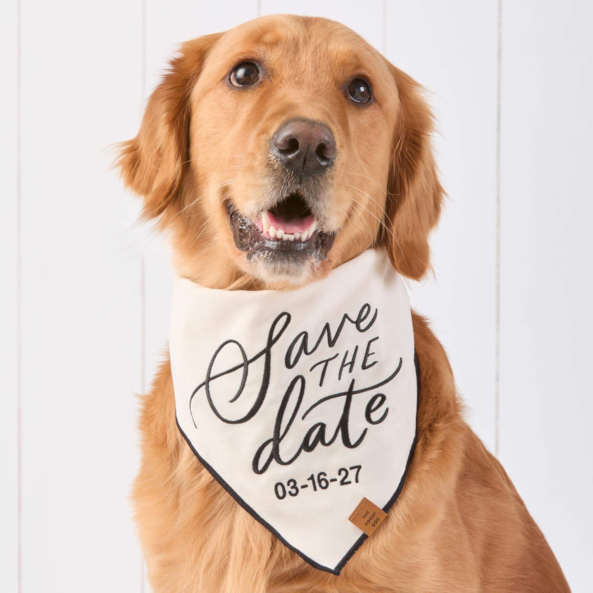Save the Date Embroidered Dog Bandana - Image 3