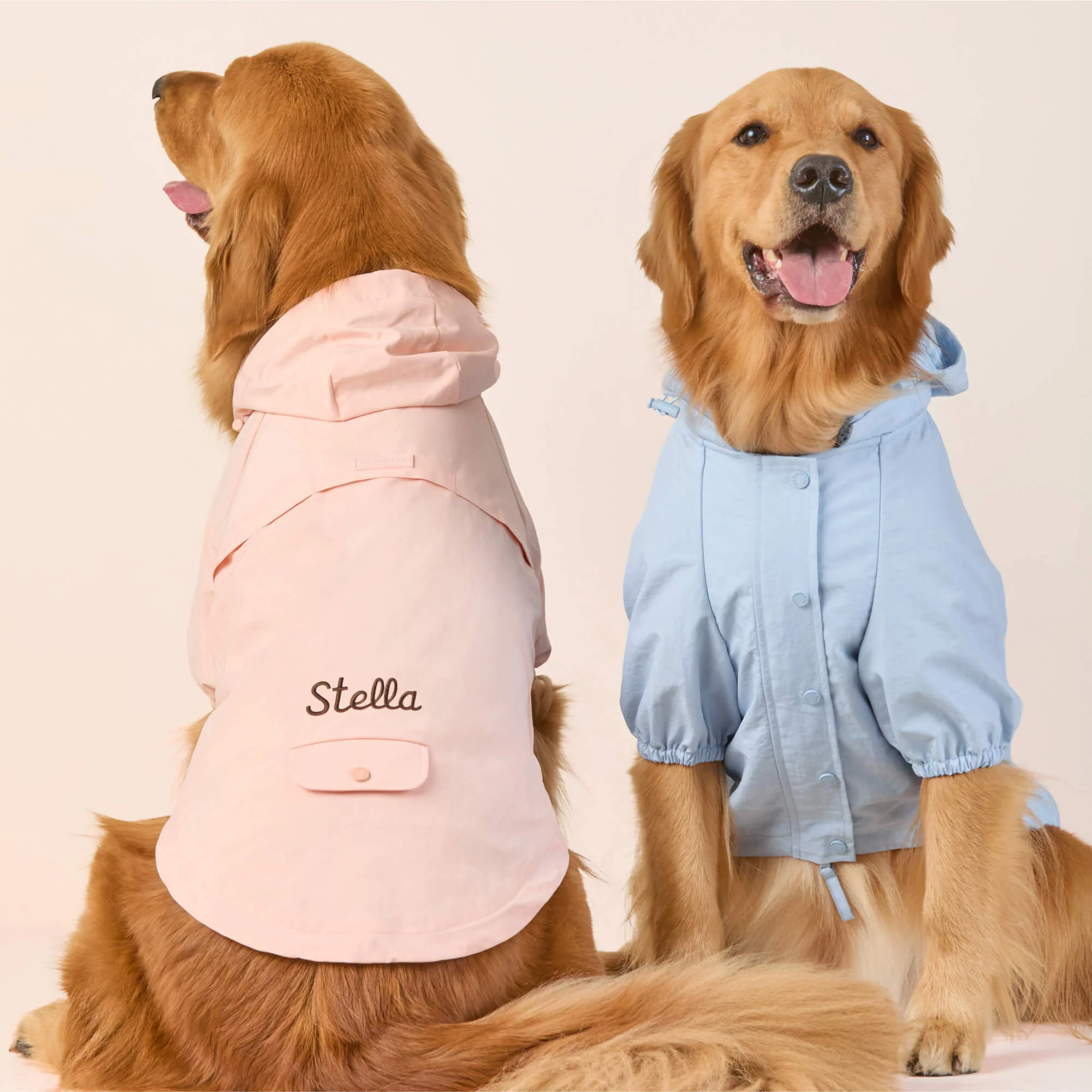 Sky Blue Dog Raincoat - Image 10