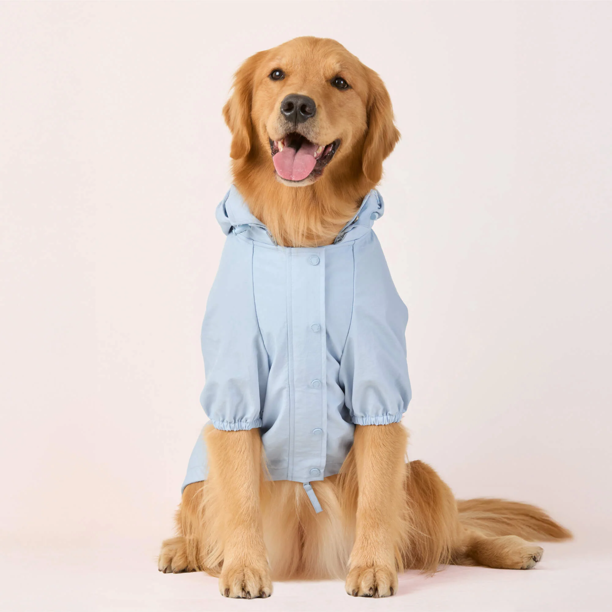 Sky Blue Dog Raincoat - Image 2