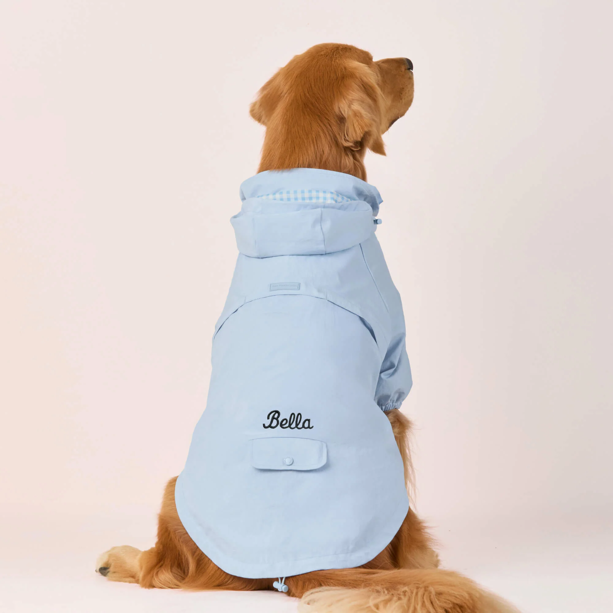 Sky Blue Dog Raincoat - Image 4
