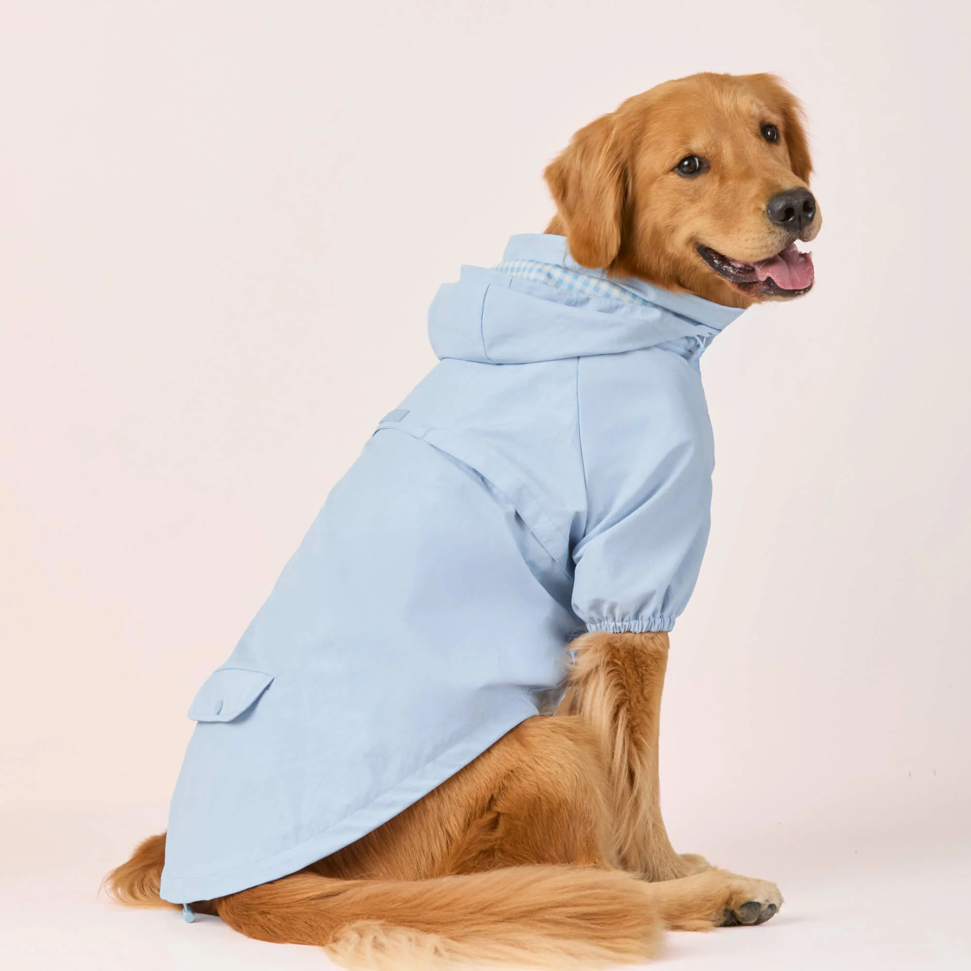 Sky Blue Dog Raincoat - Image 5