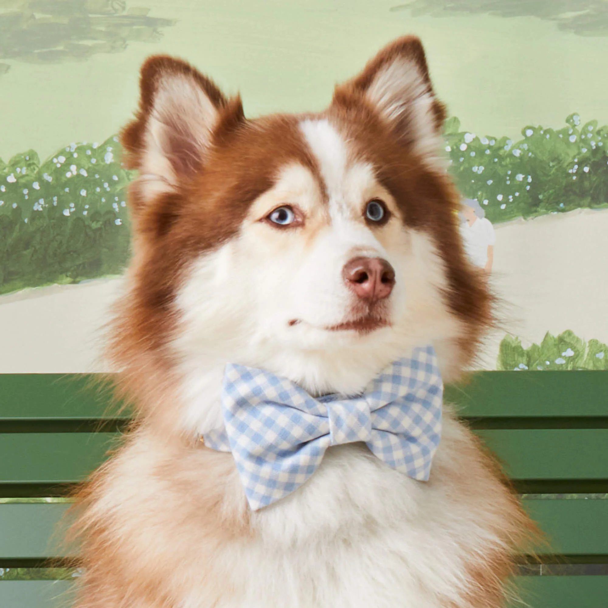 Sky Blue Gingham Bow Tie Collar - Image 5
