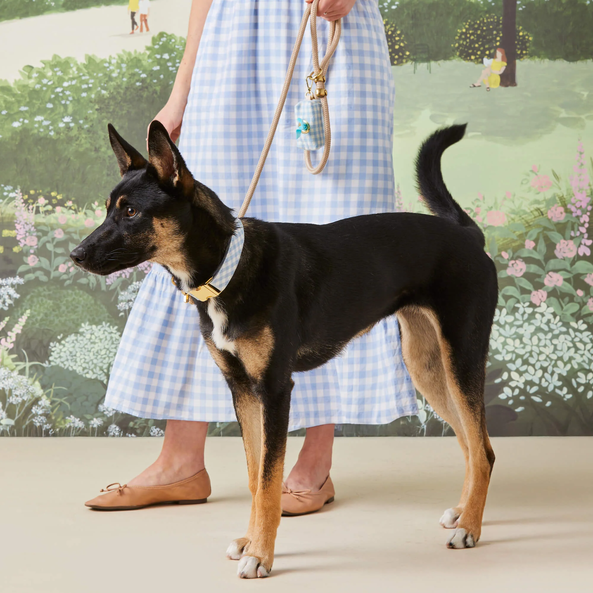 Sky Blue Gingham Collar Walk Set - Image 4