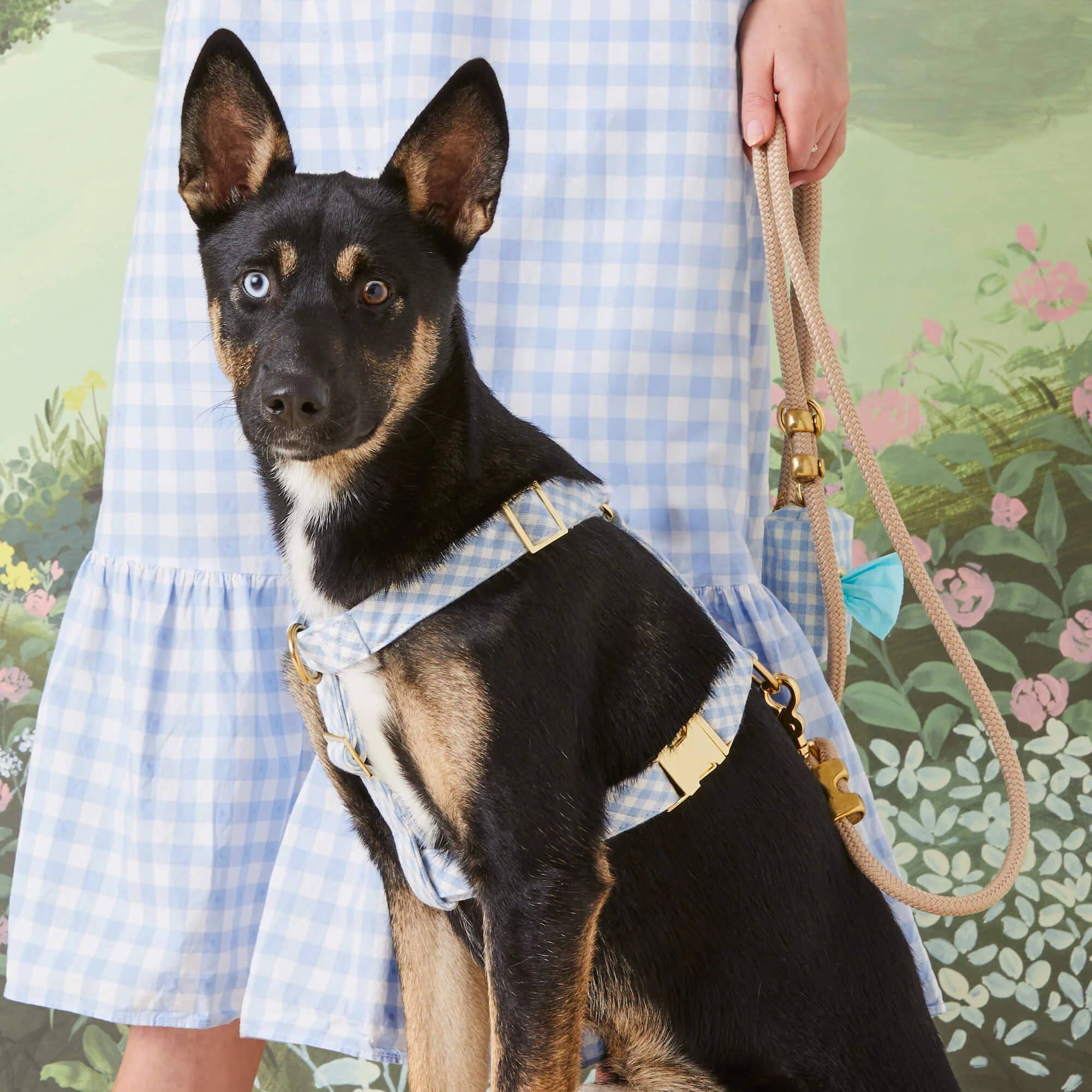 Sky Blue Gingham Dog Harness - Image 4