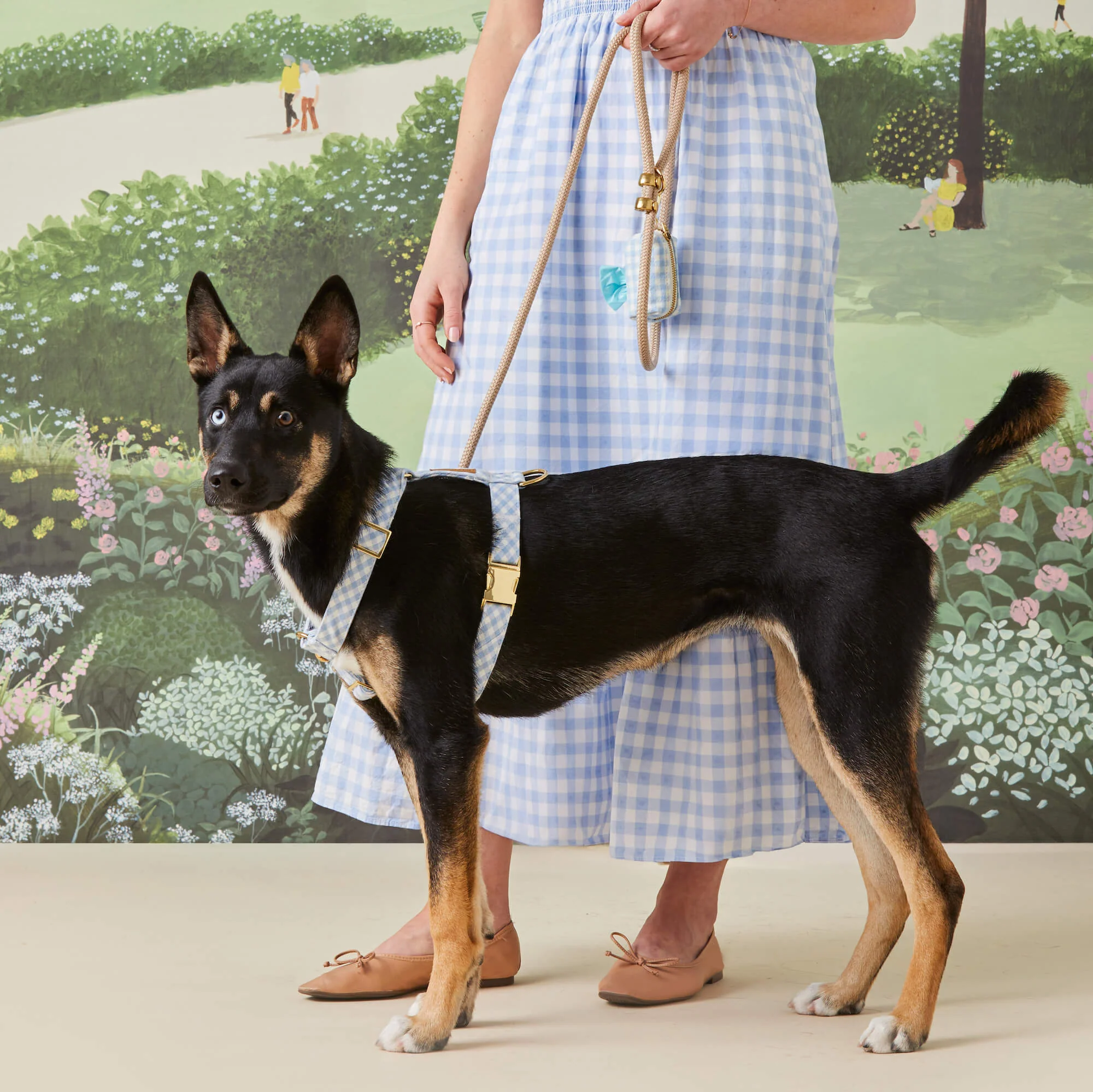 Sky Blue Gingham Harness Walk Set - Image 5
