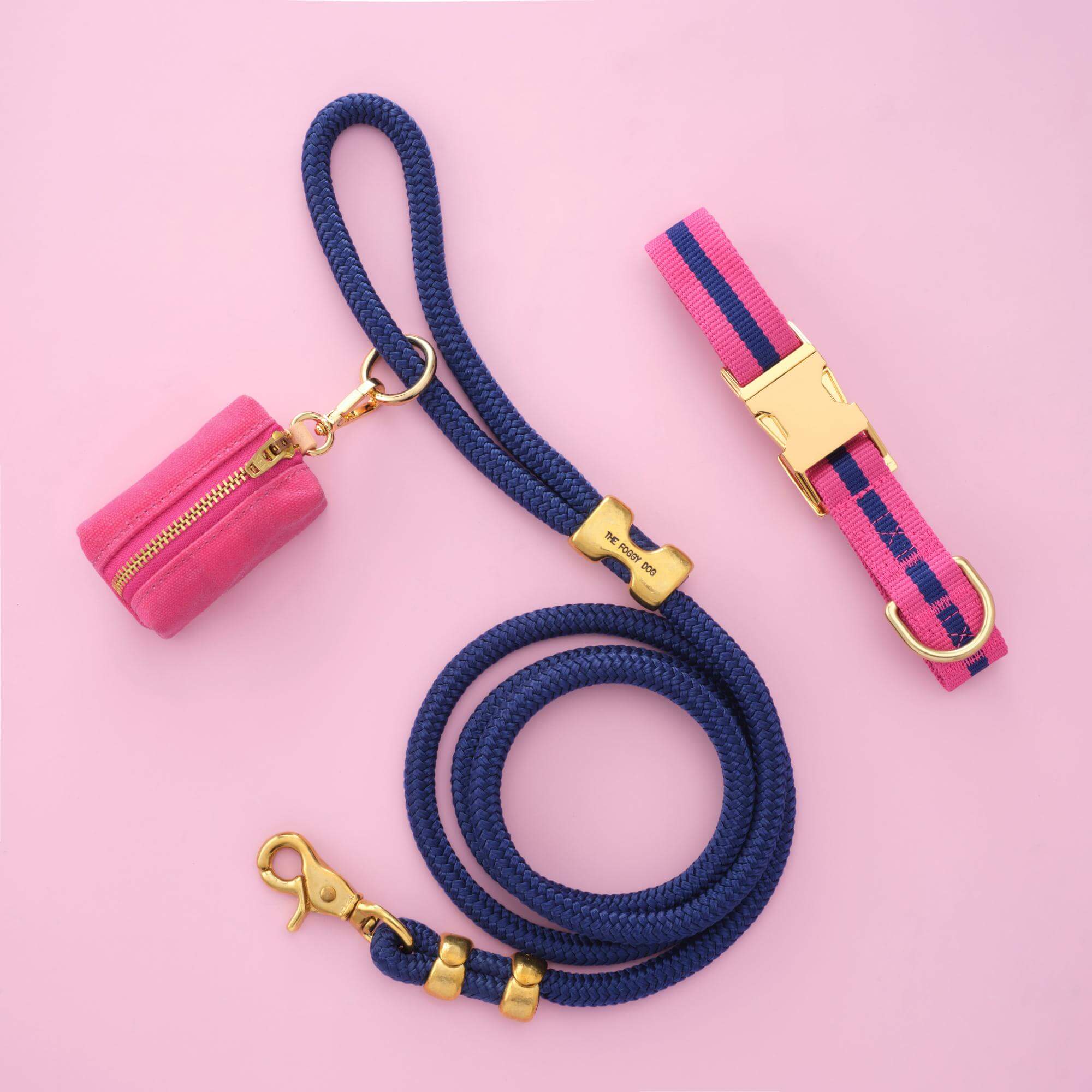 Sloane Striped Webbing Collar Walk Set - Image 3